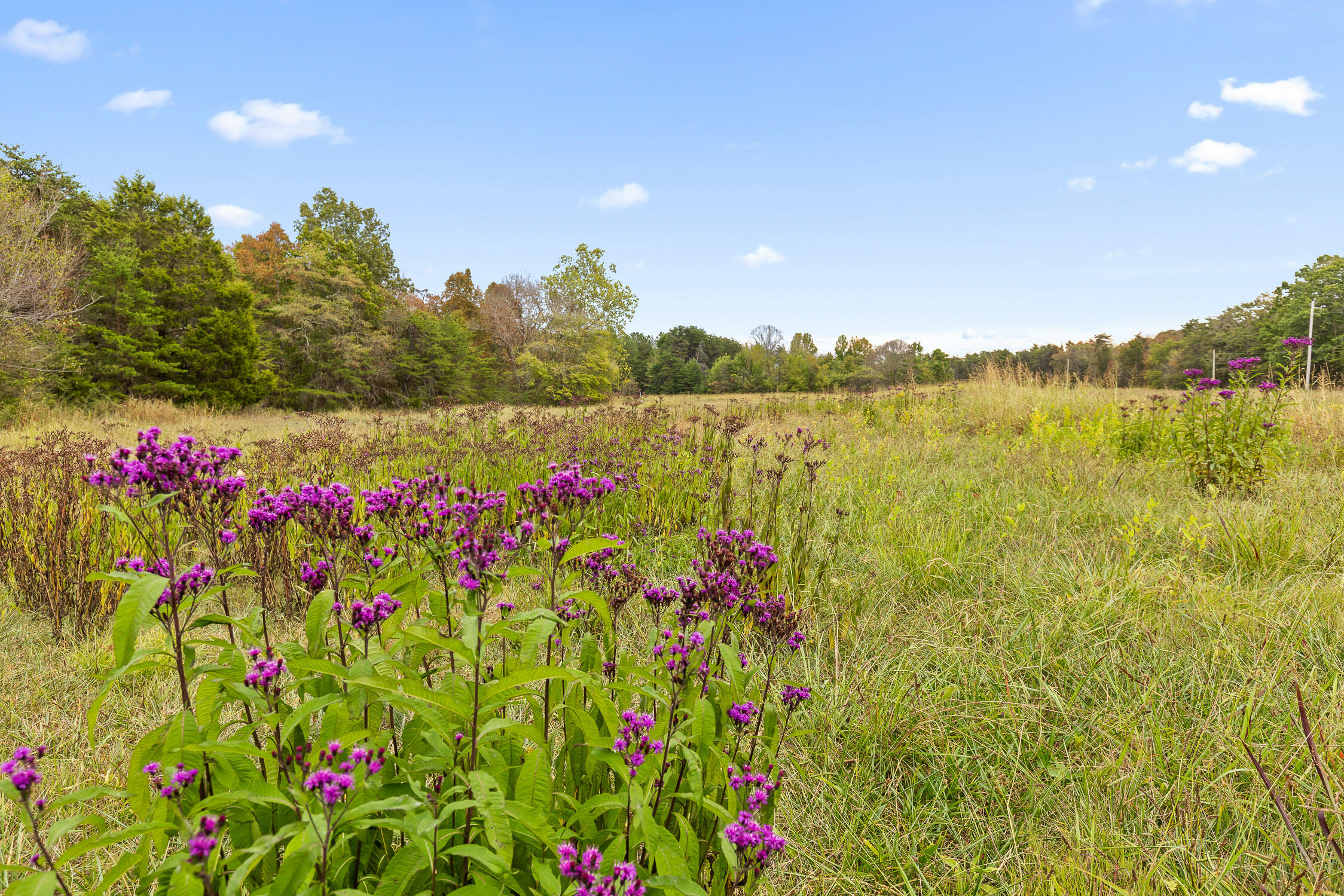 Brayton (bardominium) Road, Graysville, Tennessee image 37