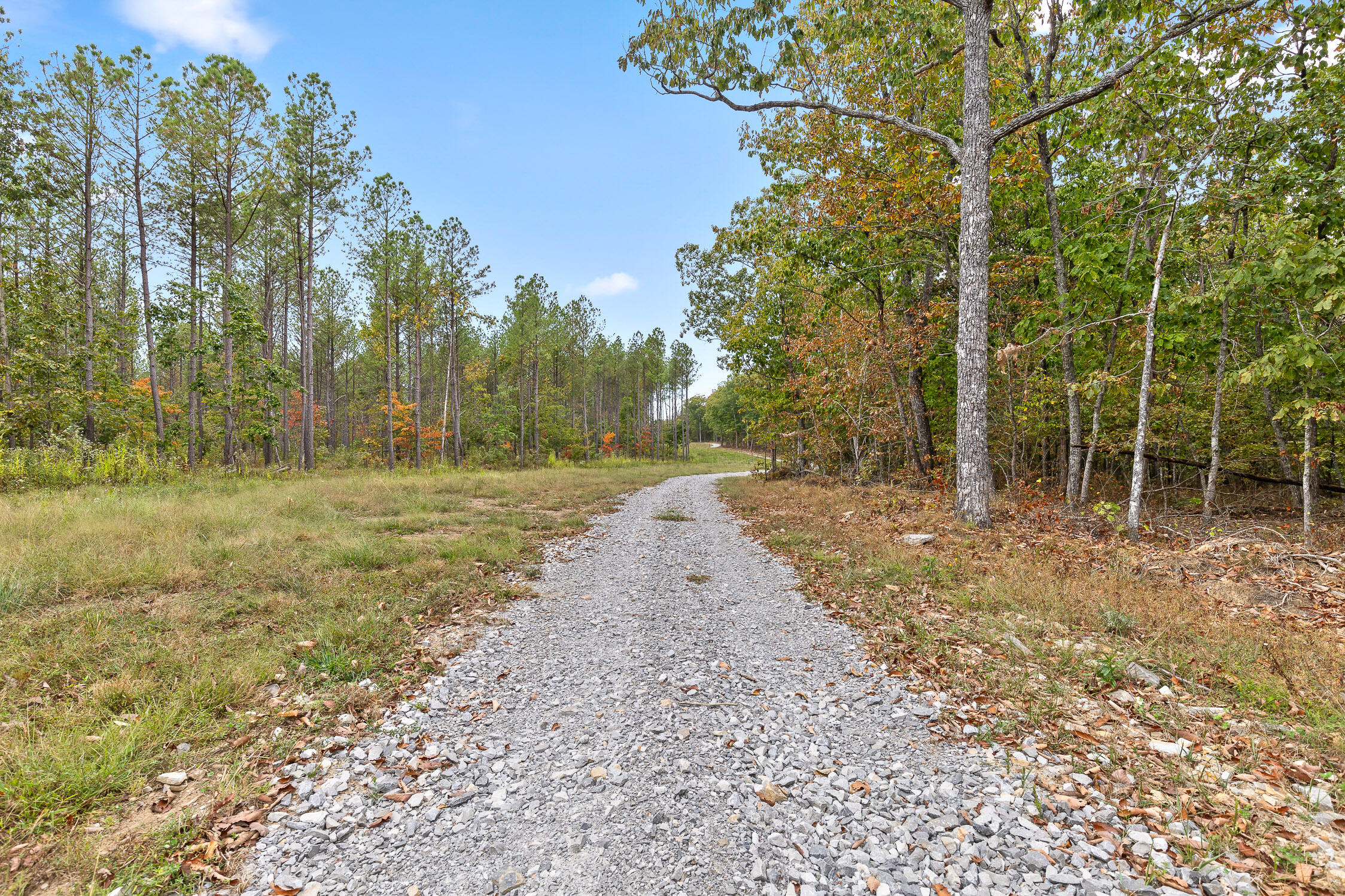 Brayton (bardominium) Road, Graysville, Tennessee image 30