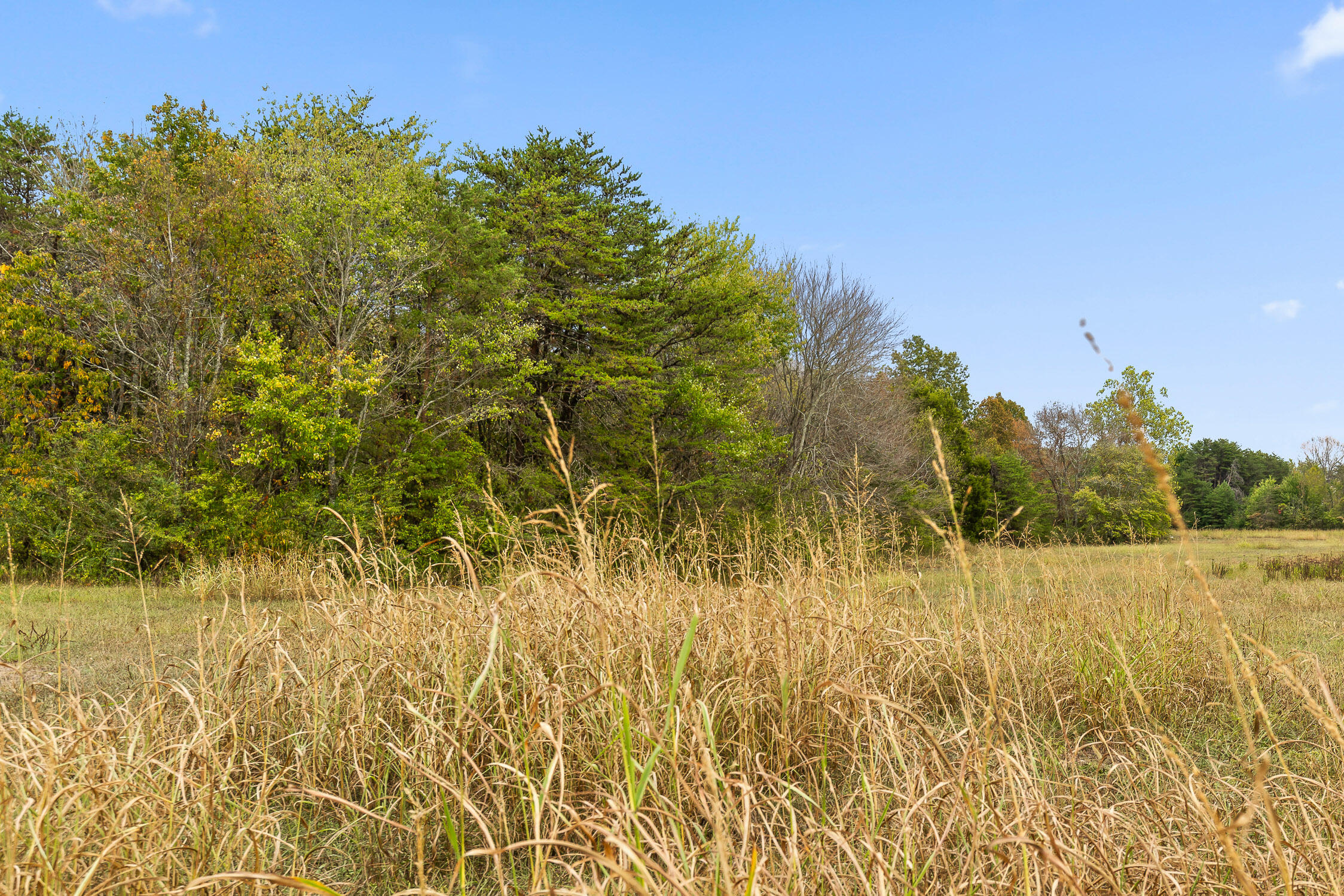 Brayton (bardominium) Road, Graysville, Tennessee image 40