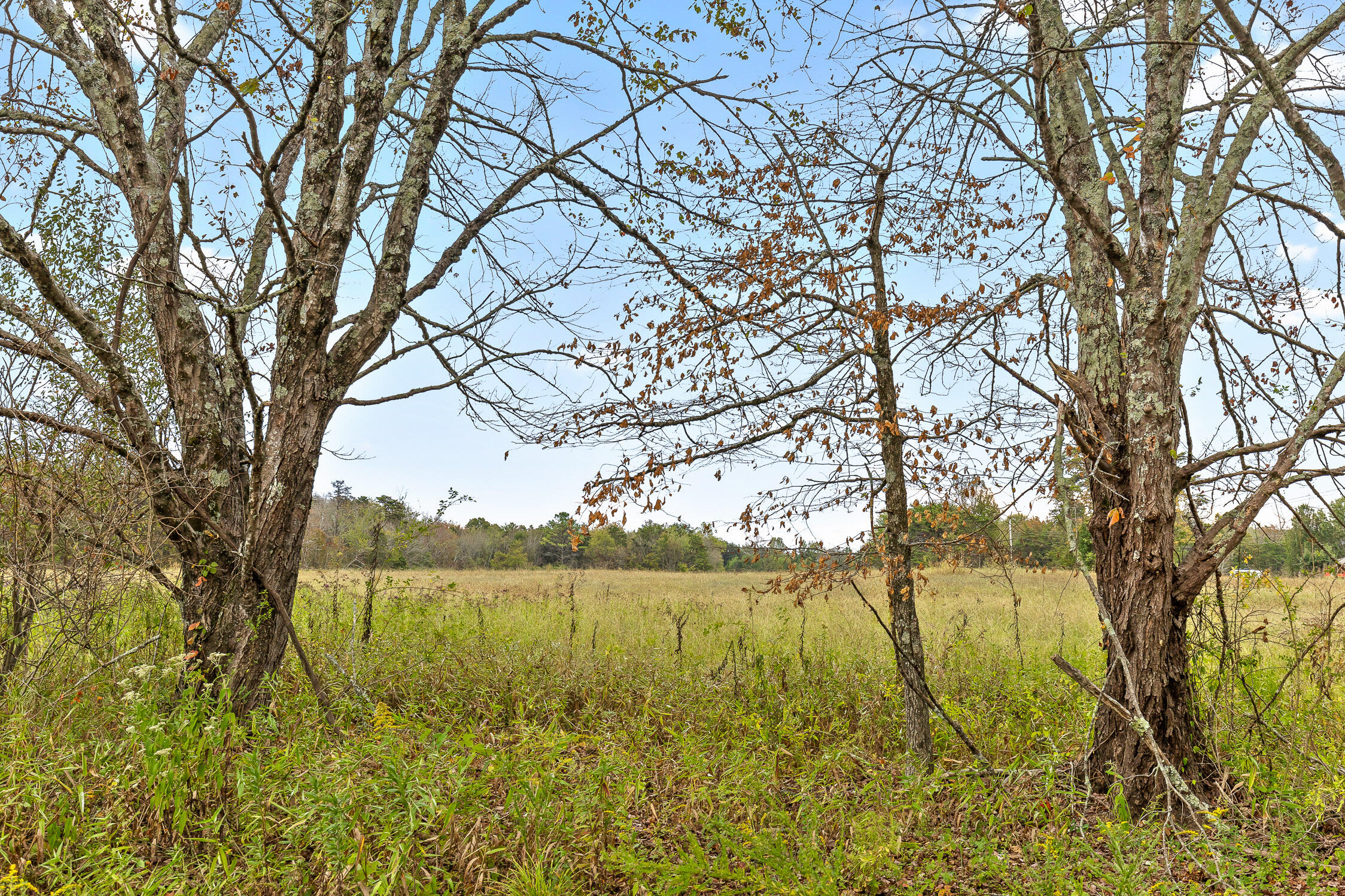 Brayton (bardominium) Road, Graysville, Tennessee image 36