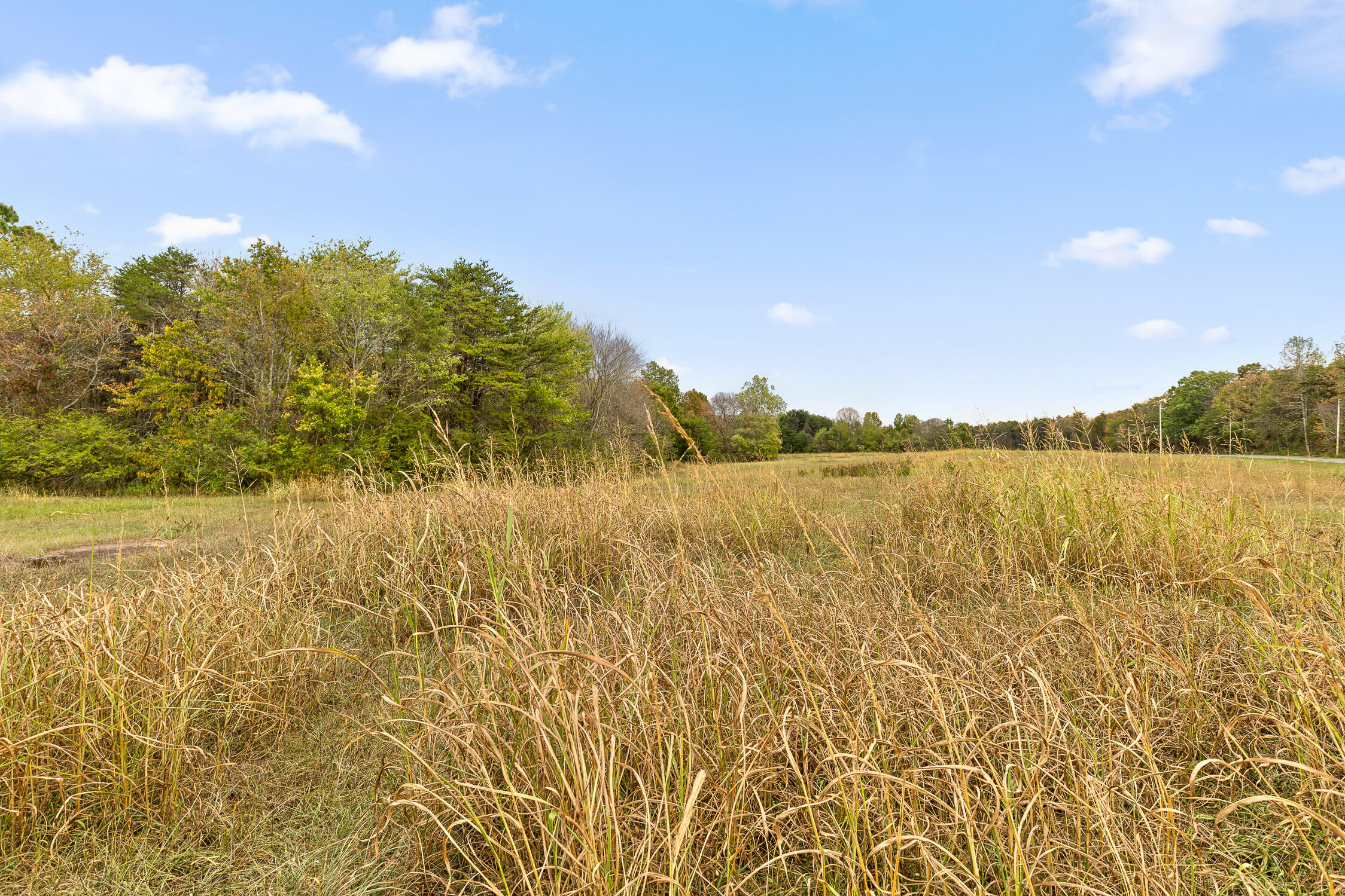 Brayton (bardominium) Road, Graysville, Tennessee image 31