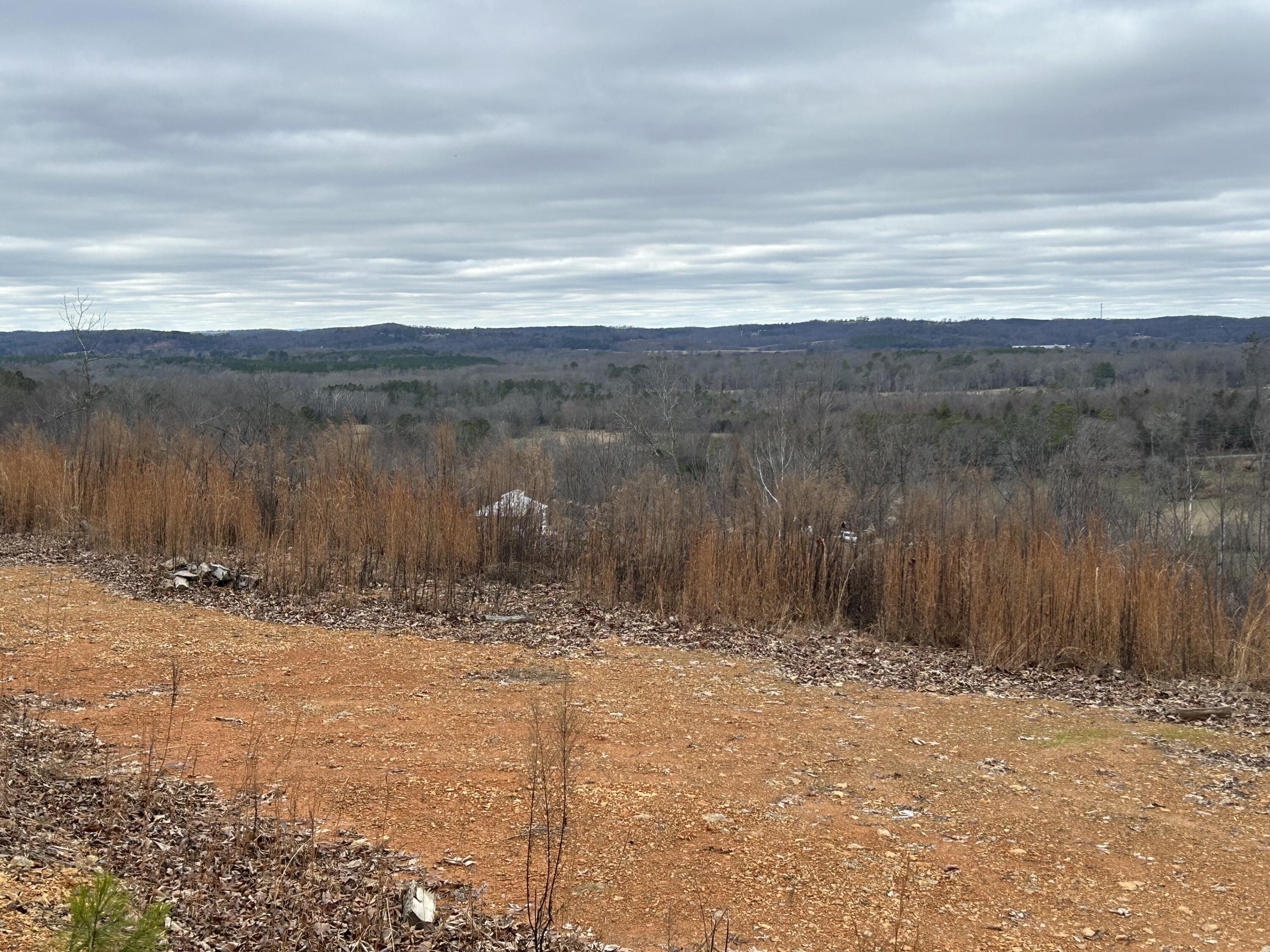 E Emerson Road, Cohutta, Georgia image 5
