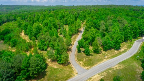 Vacant Land For Sale - River Bluffs Drive<br/> Jasper, TN 37347