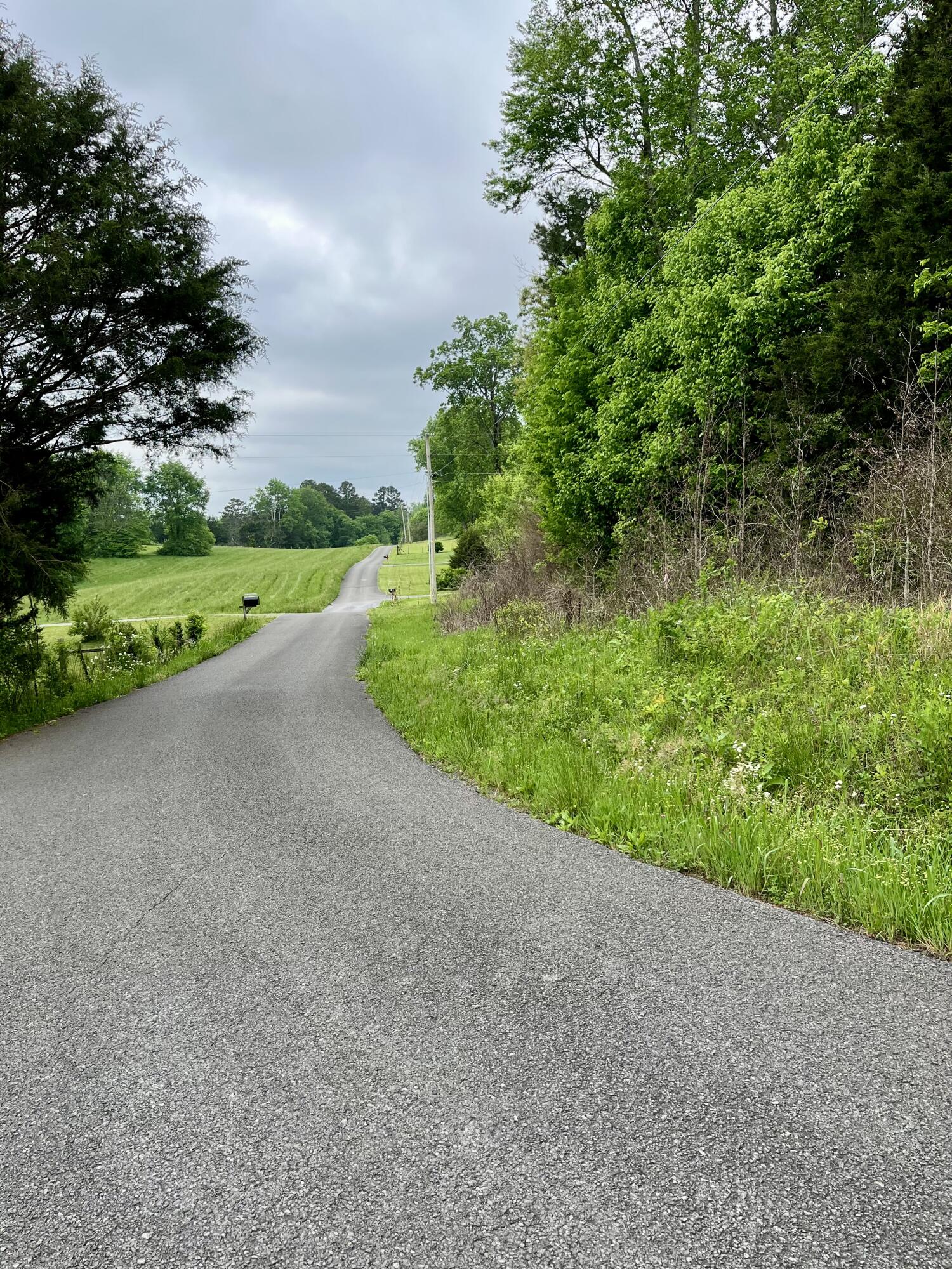 Lot 1 Jack Smith Road, Dunlap, Tennessee image 1