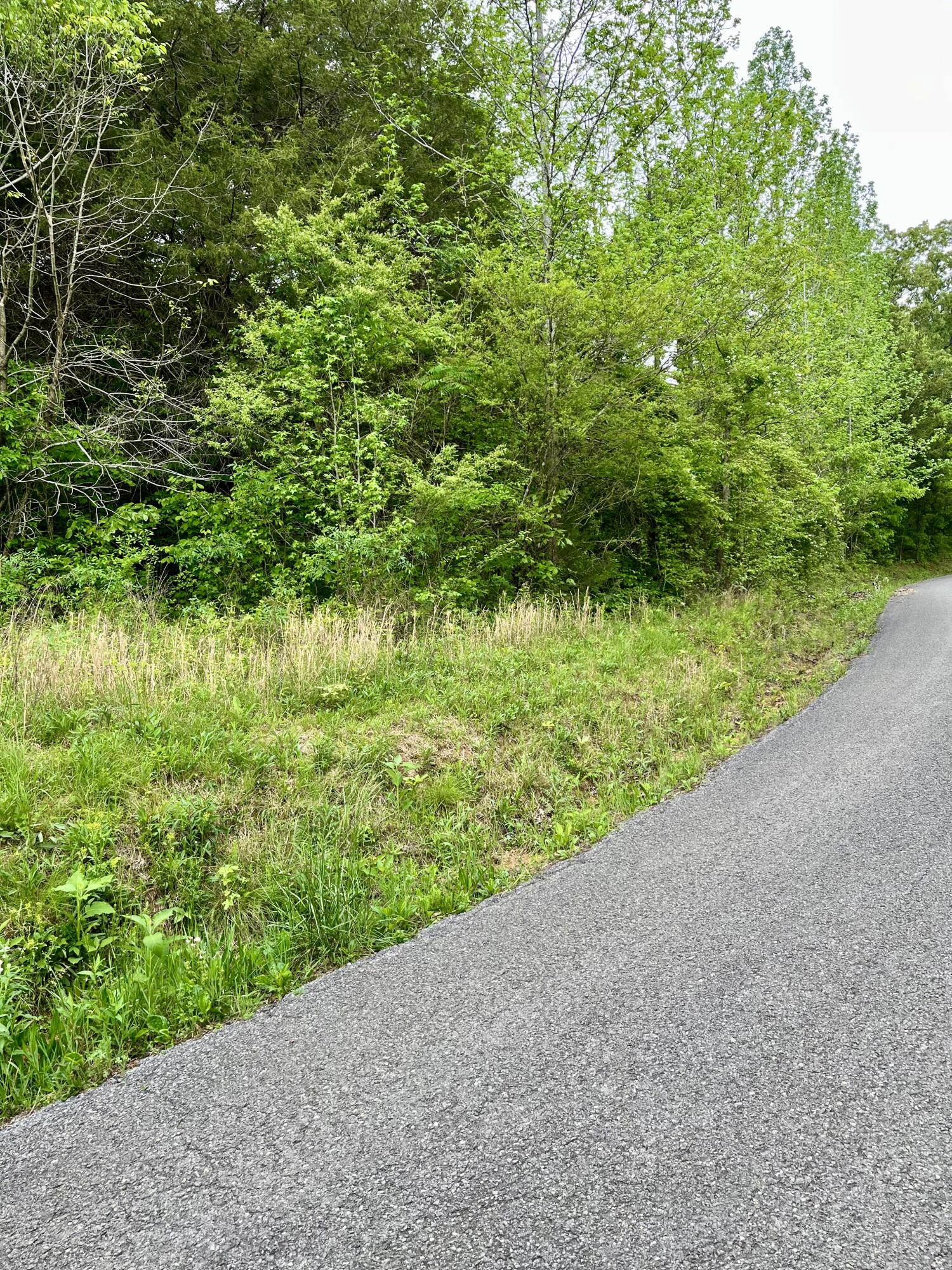 Lot 1 Jack Smith Road, Dunlap, Tennessee image 3