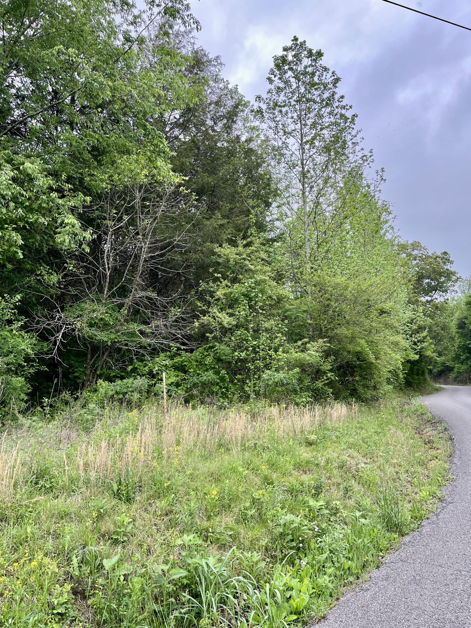 Lot 1 Jack Smith Road, Dunlap, Tennessee image 4
