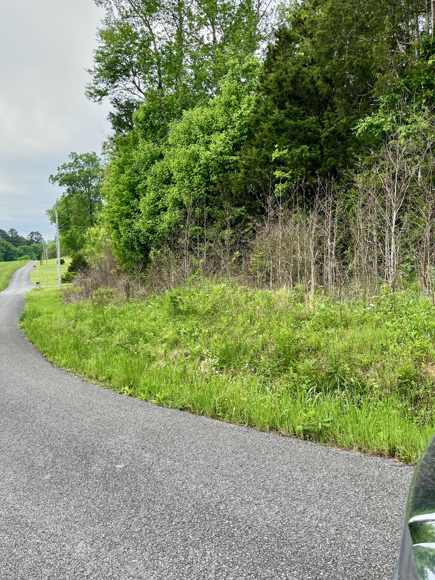 Lot 1 Jack Smith Road, Dunlap, Tennessee image 2