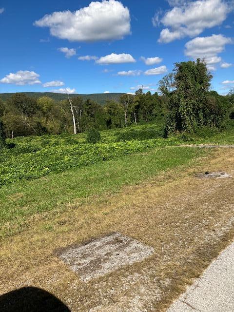 Rhea County Hwy / Hwy 27, Spring City, Tennessee image 2