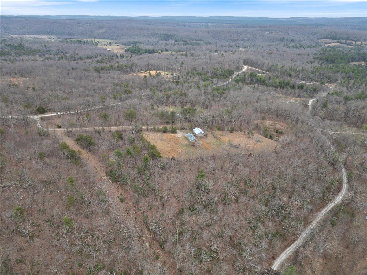 84 Walnut Drive, Spring City, Tennessee image 41