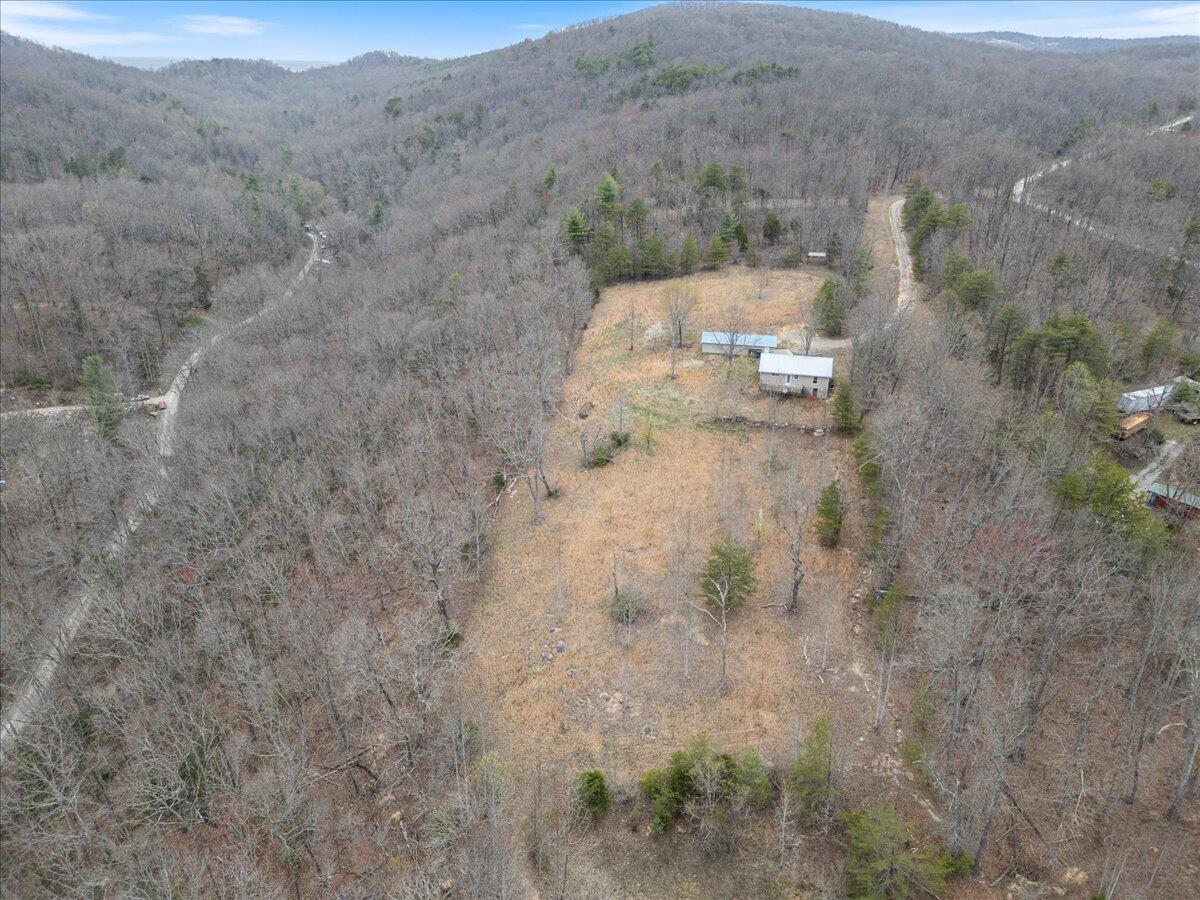 84 Walnut Drive, Spring City, Tennessee image 42