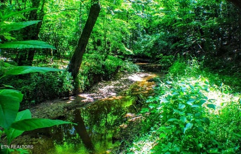 Photo of 045 Summer City Road, Pikeville, TN 37367 (MLS # 1544331)