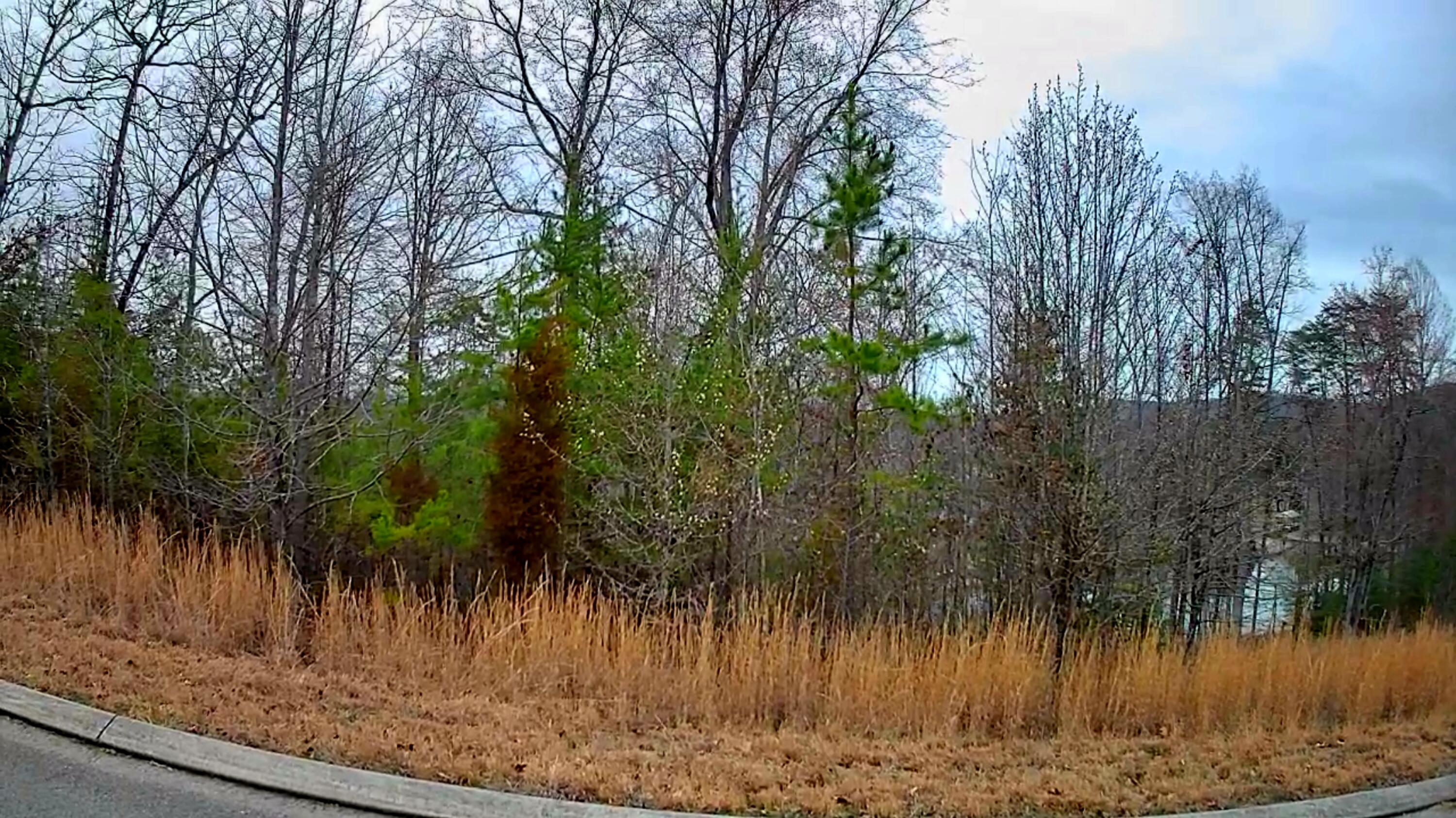 0 Spring Cove Lane 6