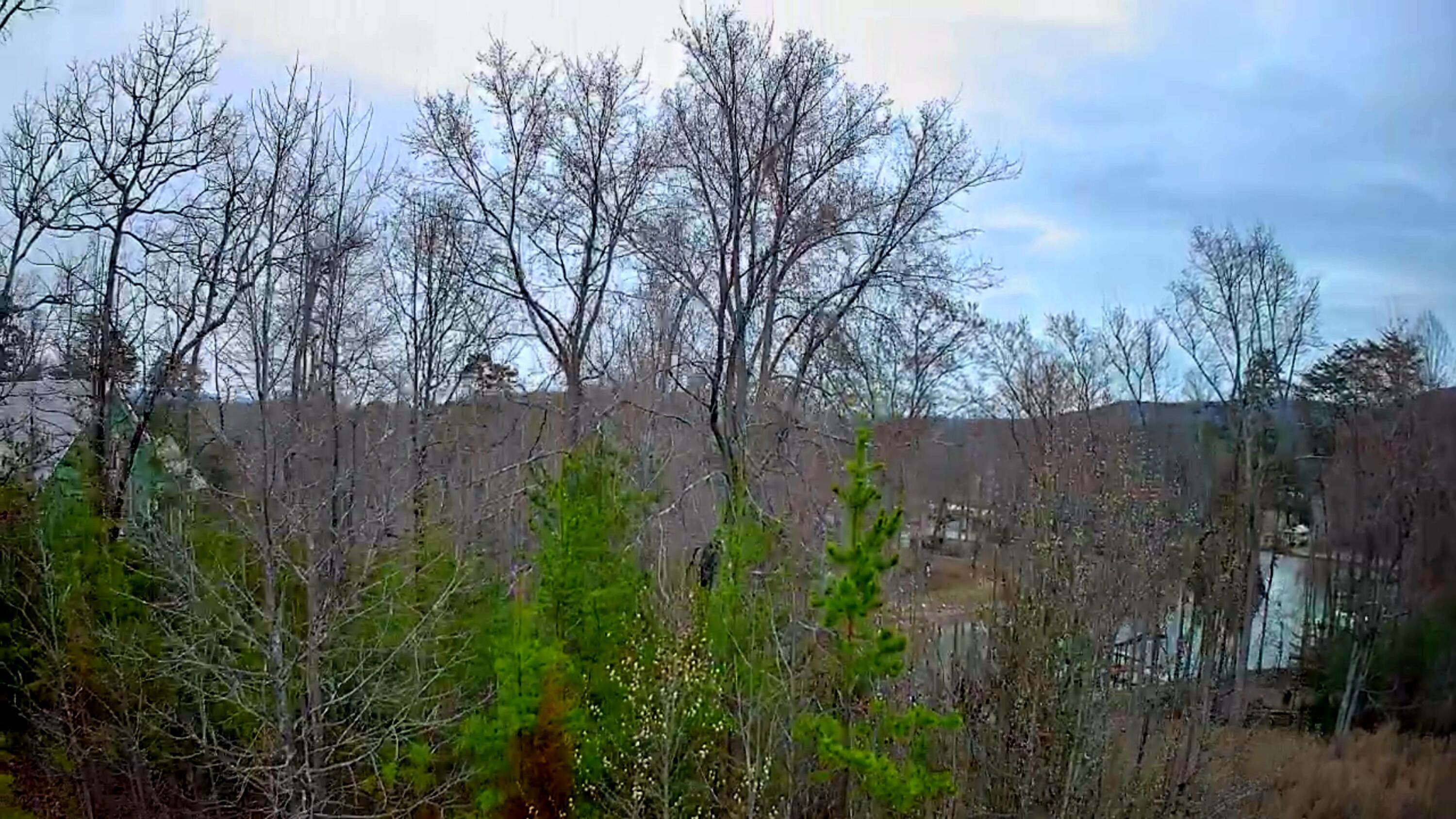 0 Spring Cove Lane 6