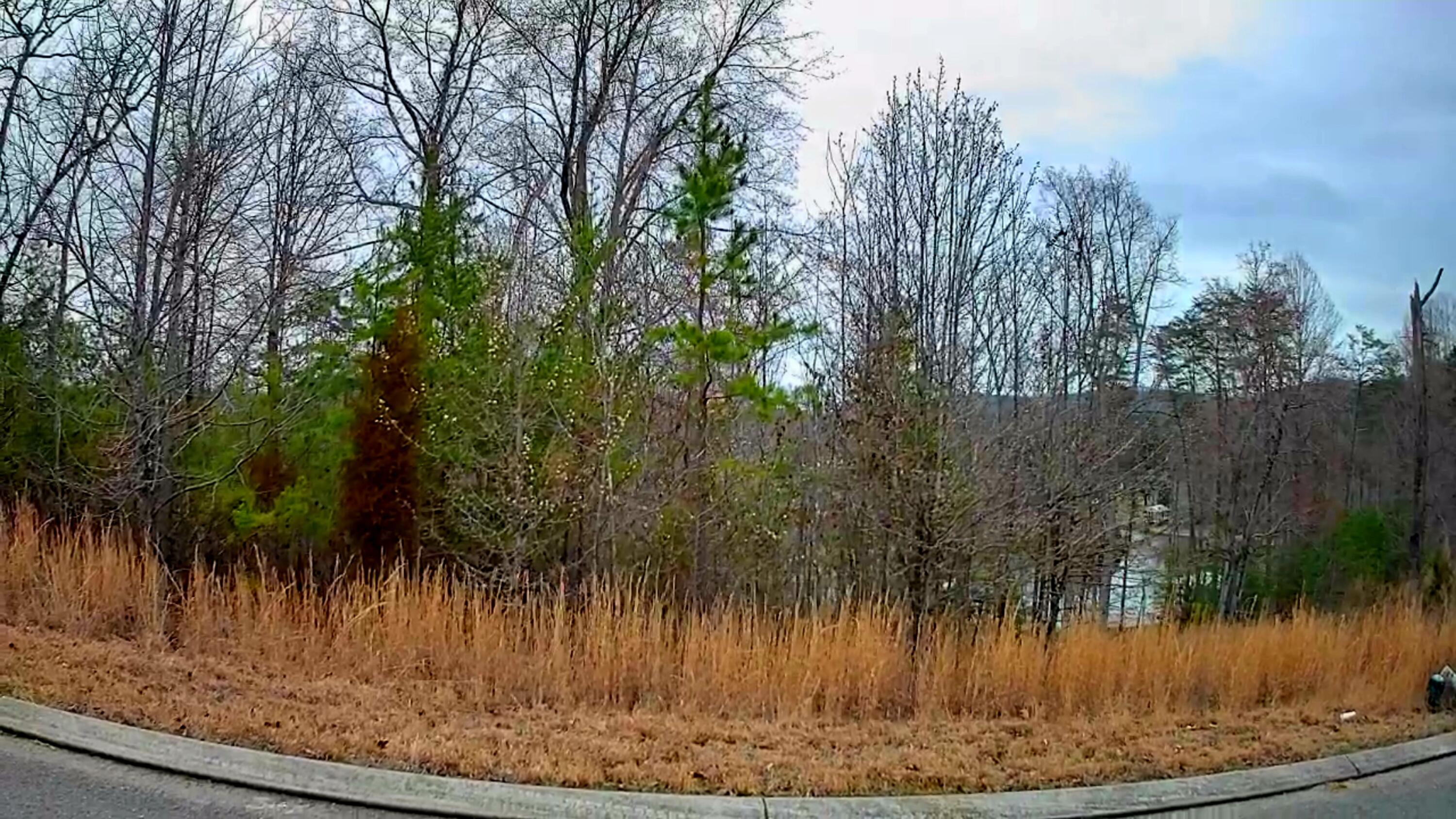 0 Spring Cove Lane 6