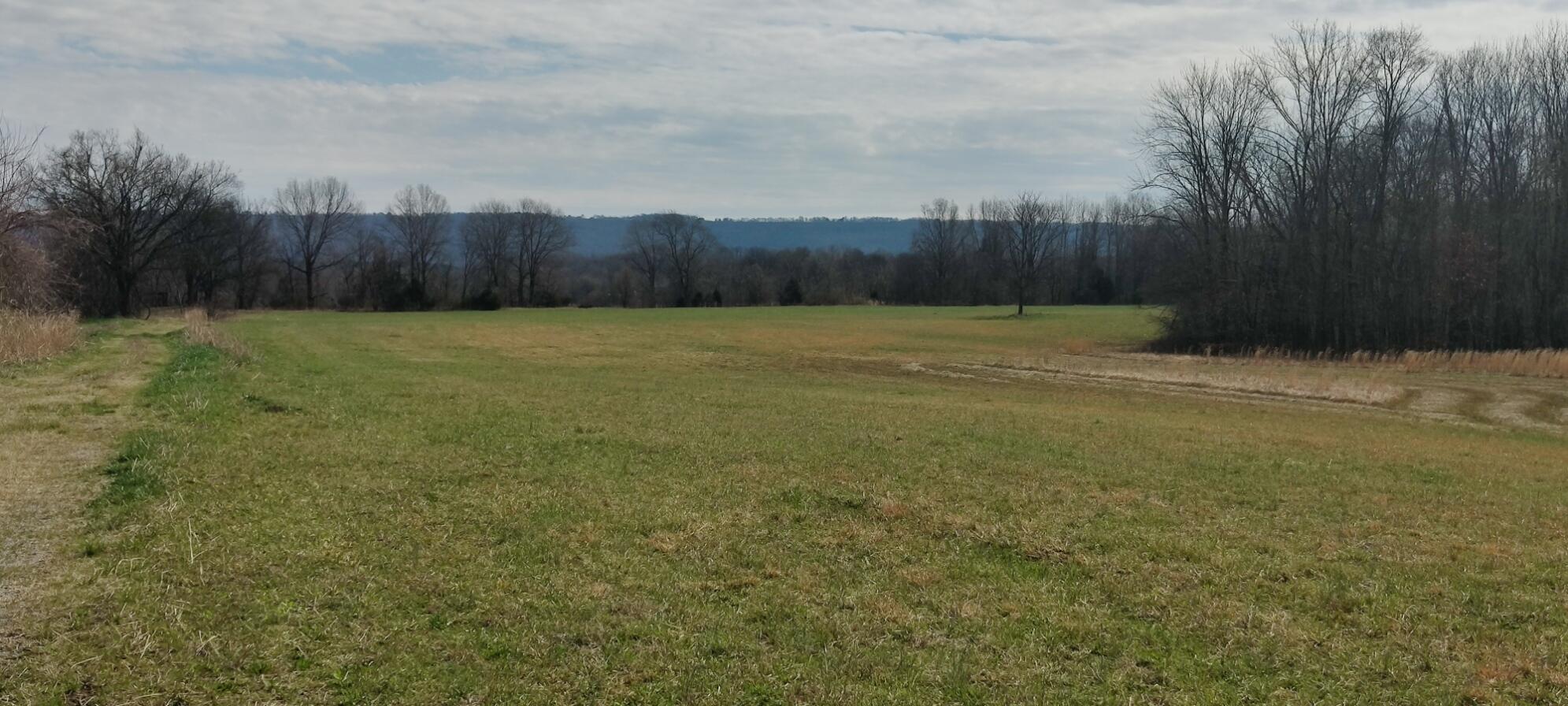 15.11 E Twelfth Street, South Pittsburg, Tennessee image 10
