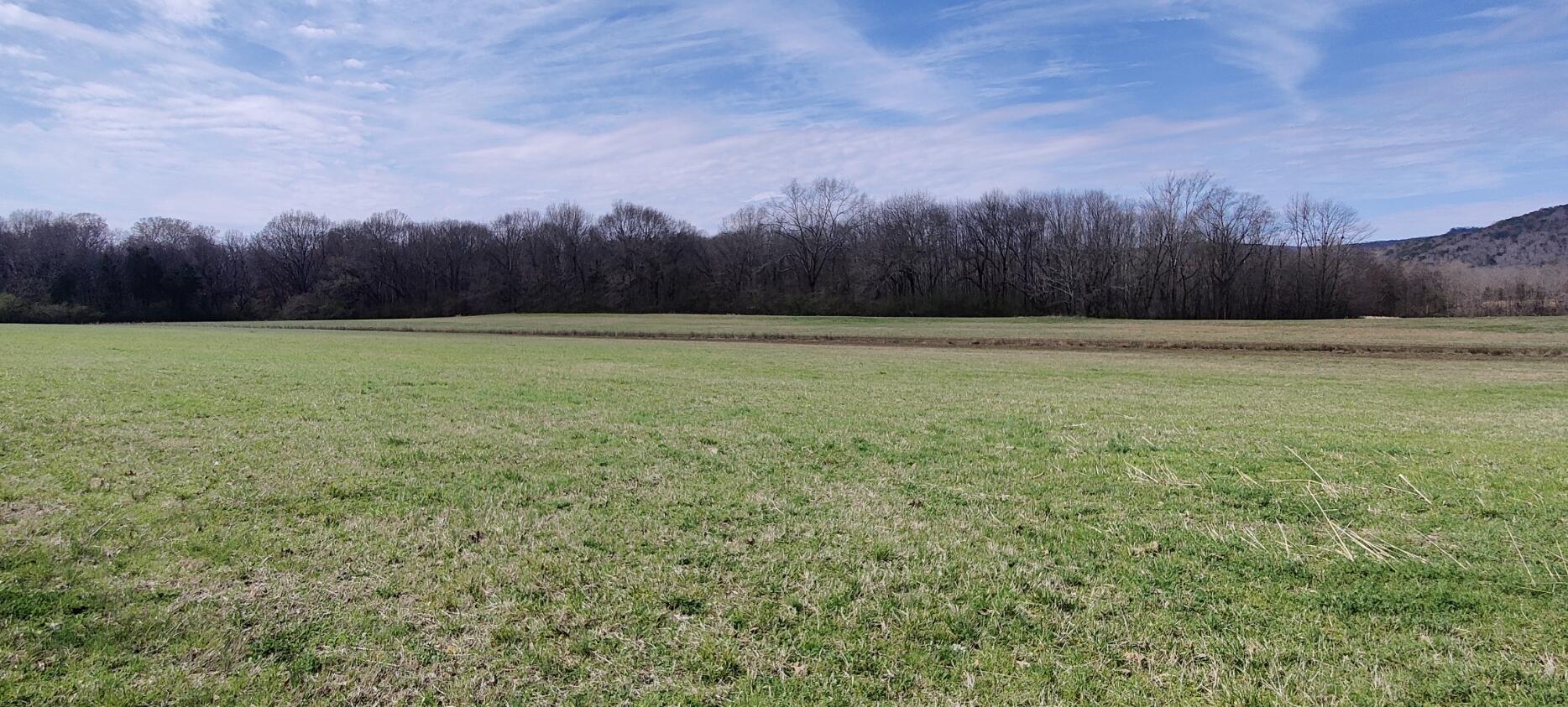 15.11 E Twelfth Street, South Pittsburg, Tennessee image 13