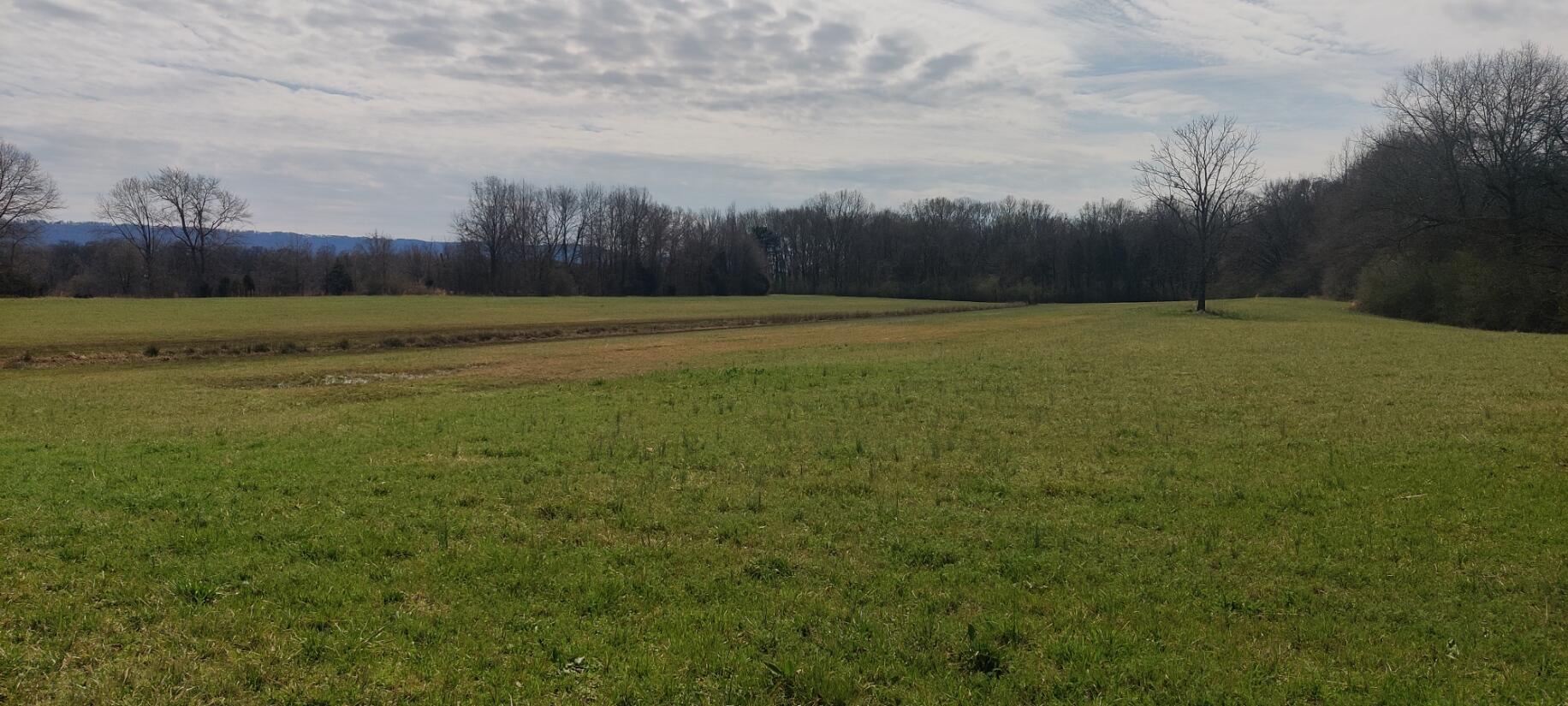 15.11 E Twelfth Street, South Pittsburg, Tennessee image 19