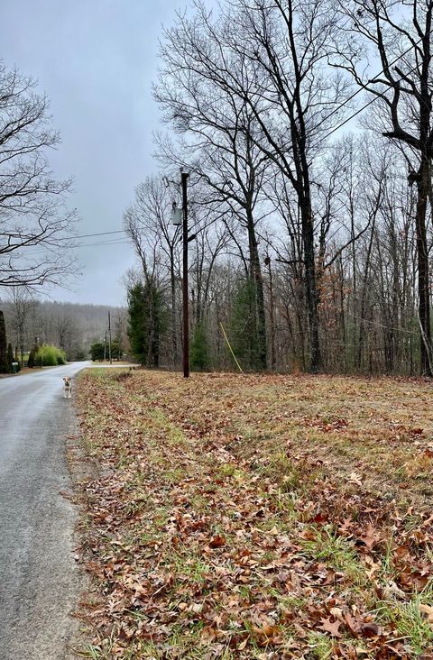 Vacant Land For Sale - 60 Laurel Drive<br/> Dunlap, TN 37327