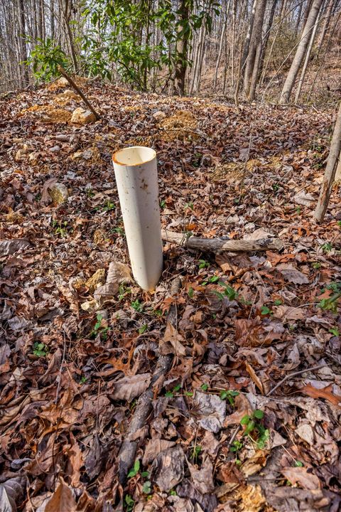 Tiny photo for Rossville, GA 30741 (MLS # 1528650)