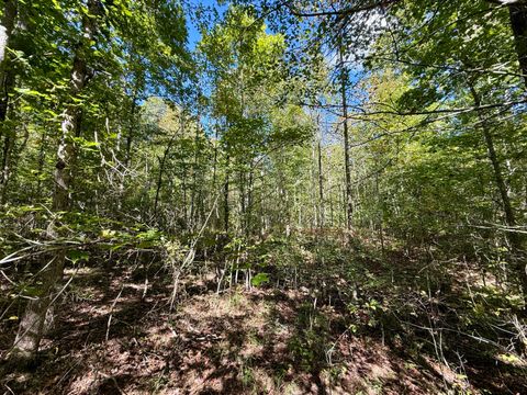 Photo of 0 Owl Hollow Road, Palmer, TN 37365 (MLS # 1533095)