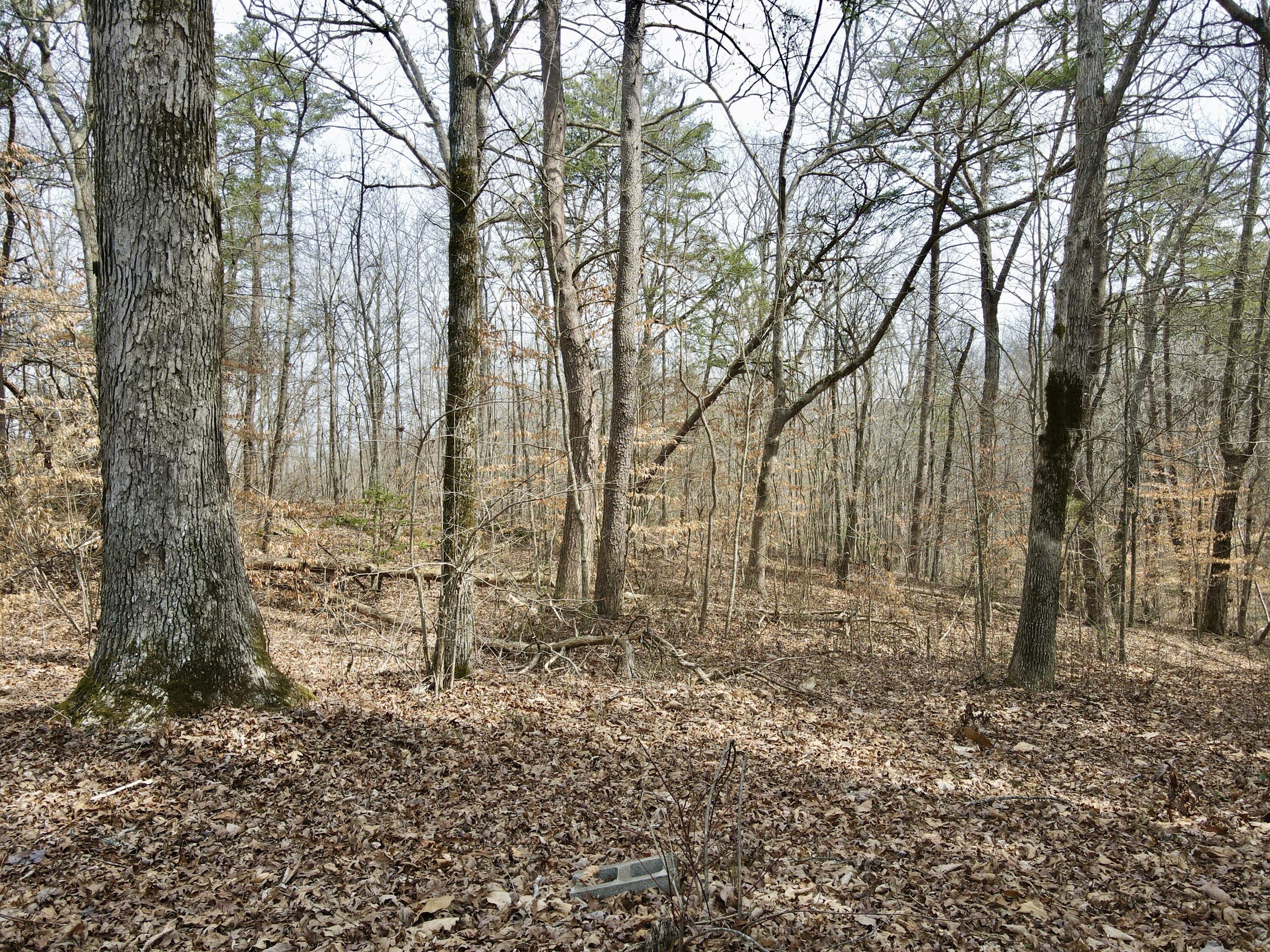 510 John Richardson Road, Beersheba Springs, Tennessee image 48