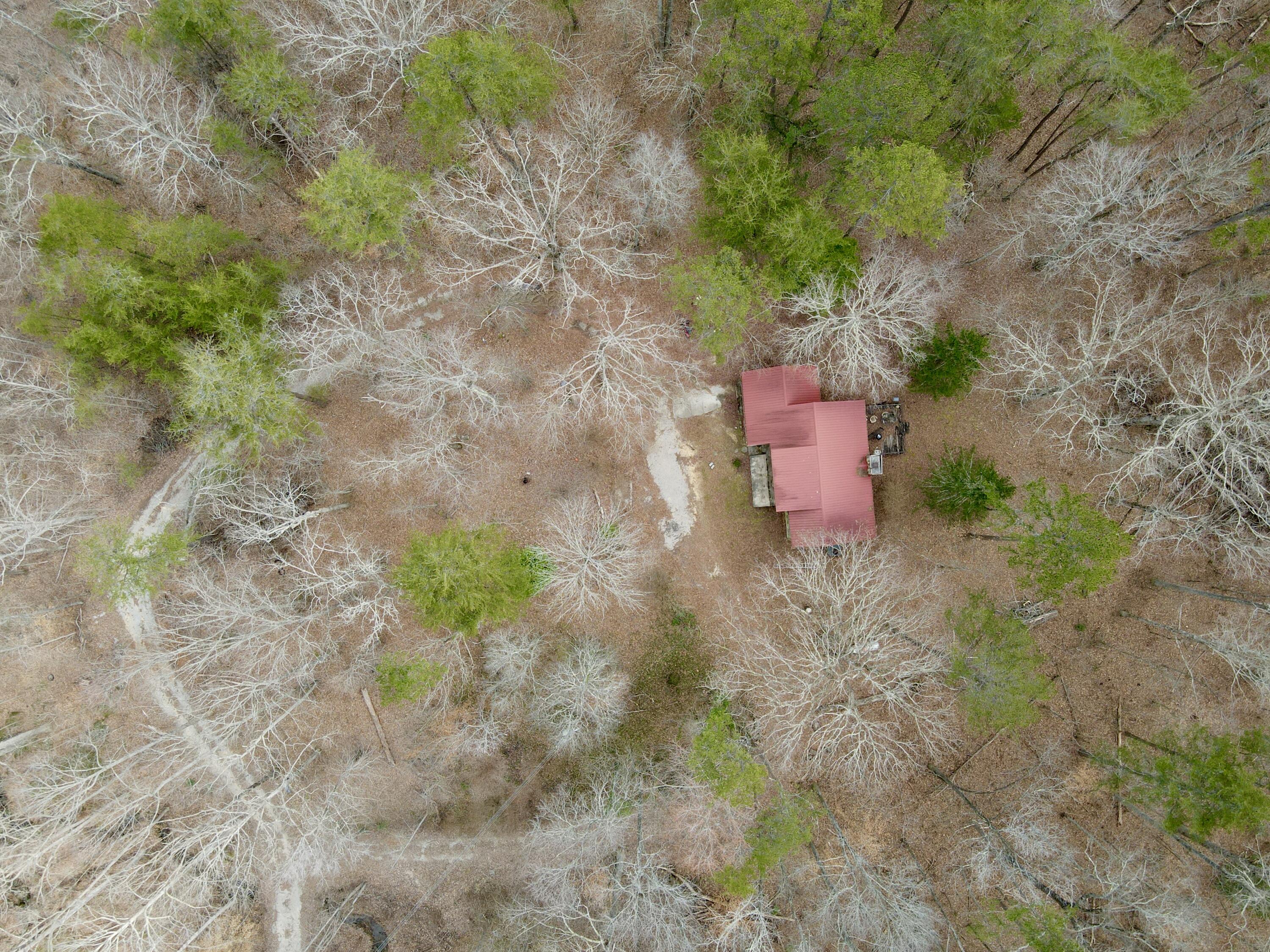 510 John Richardson Road, Beersheba Springs, Tennessee image 1