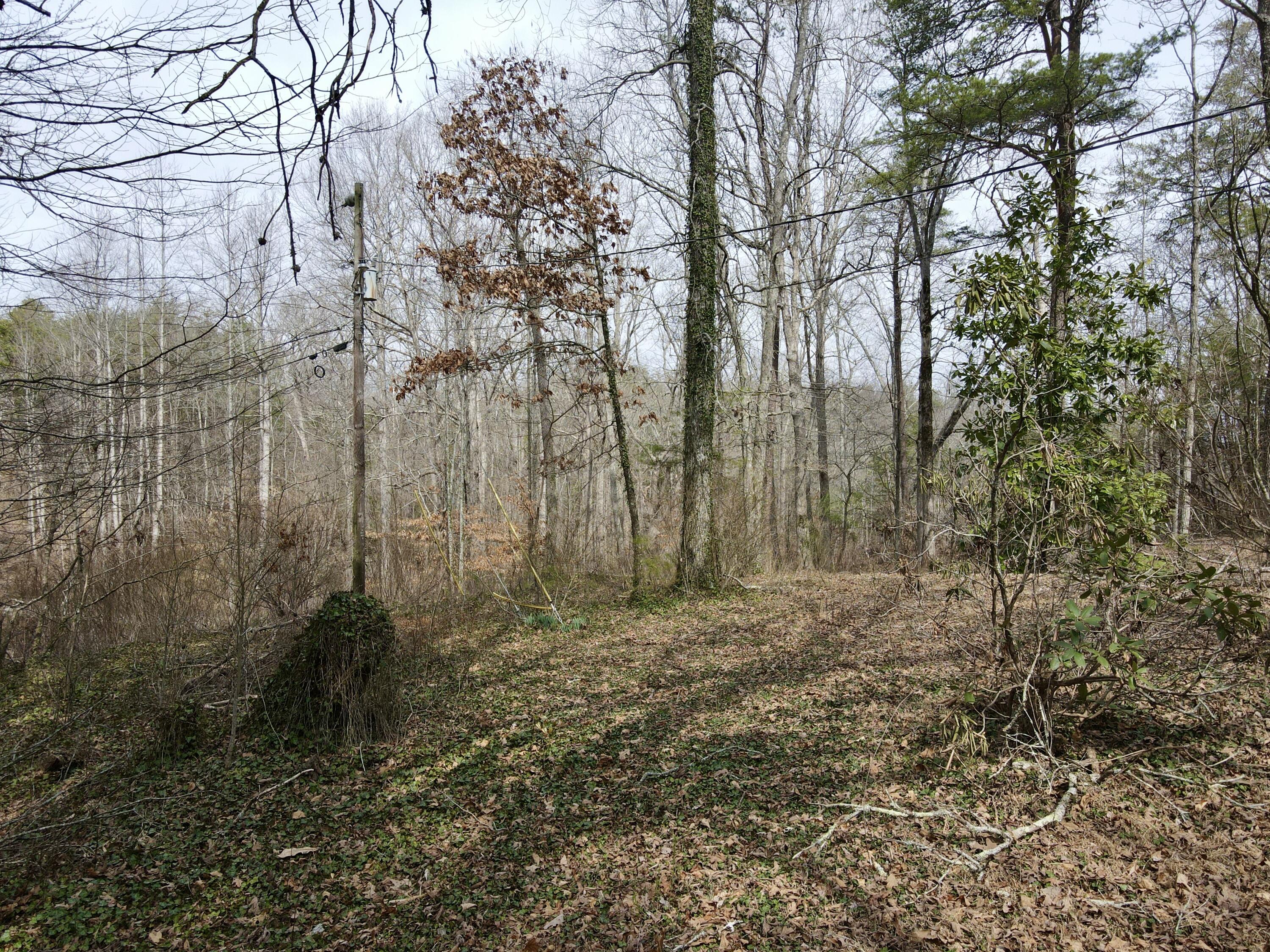 510 John Richardson Road, Beersheba Springs, Tennessee image 50