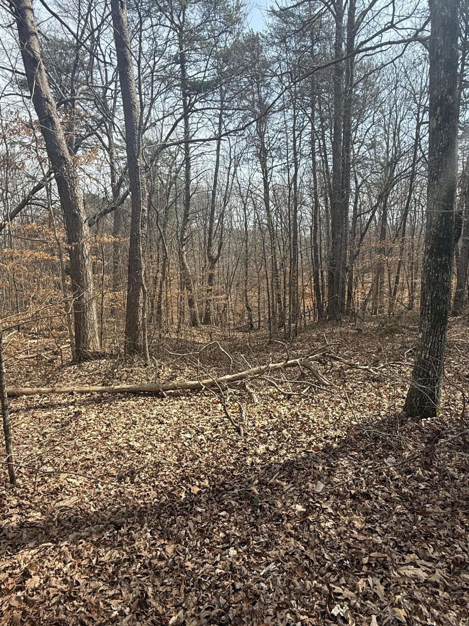 510 John Richardson Road, Beersheba Springs, Tennessee image 44