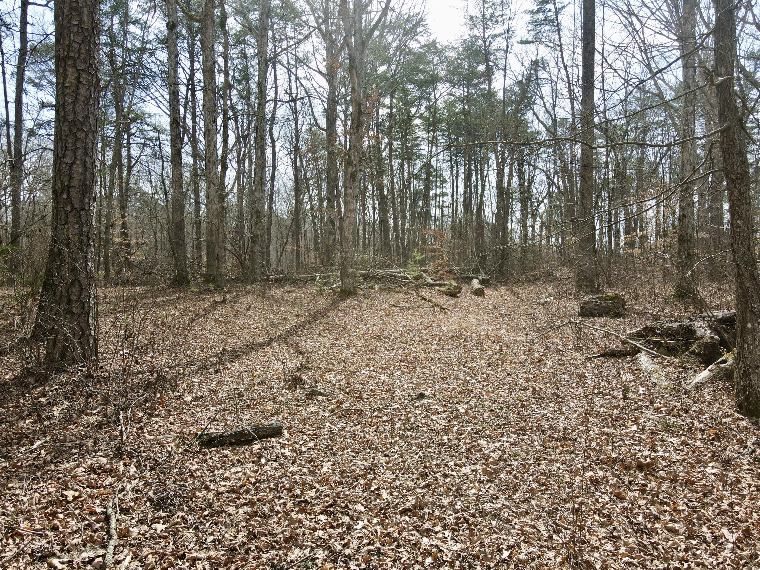510 John Richardson Road, Beersheba Springs, Tennessee image 49