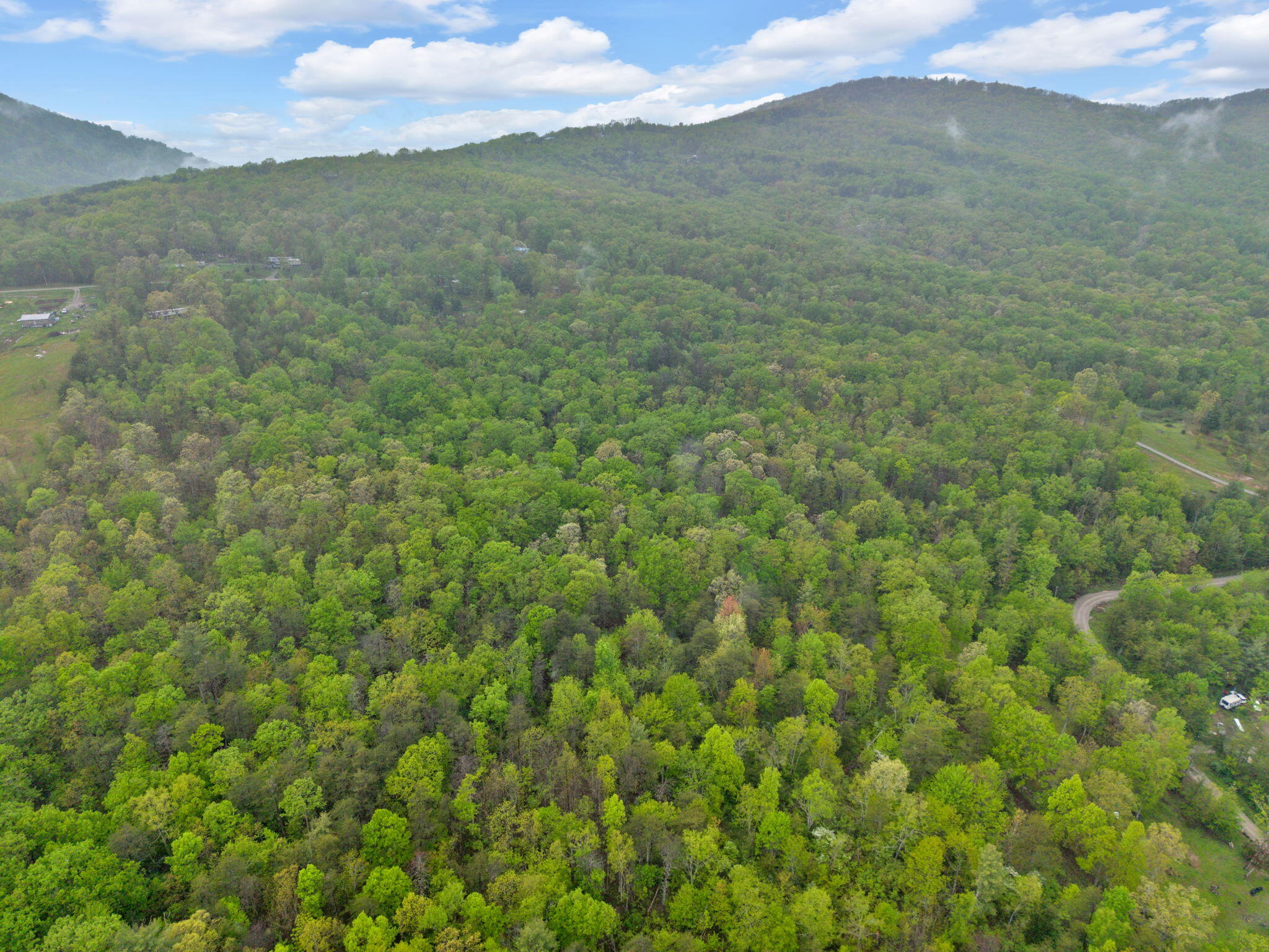 Raenne Drive, Spring City, Tennessee image 3