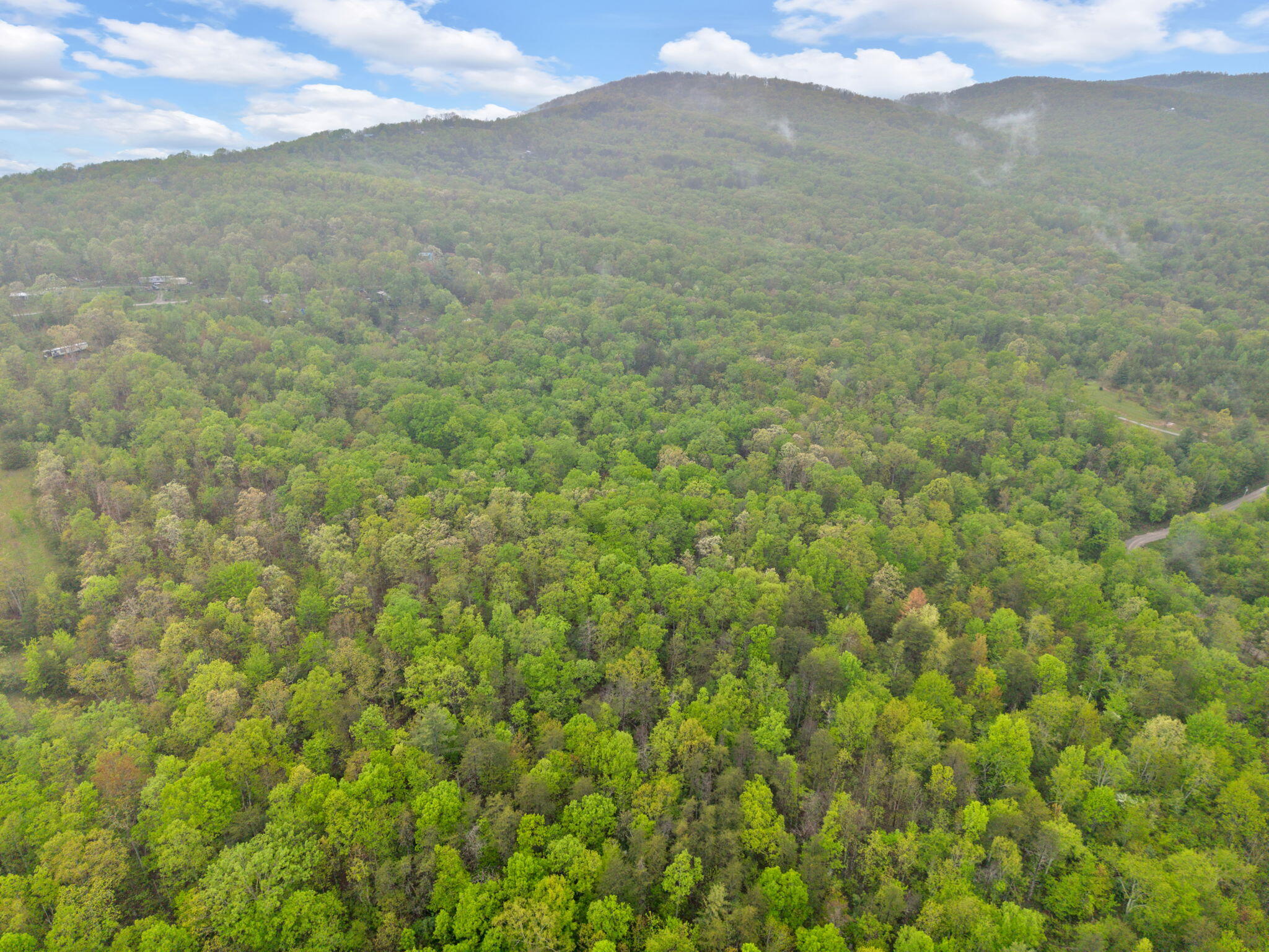 Raenne Drive, Spring City, Tennessee image 4
