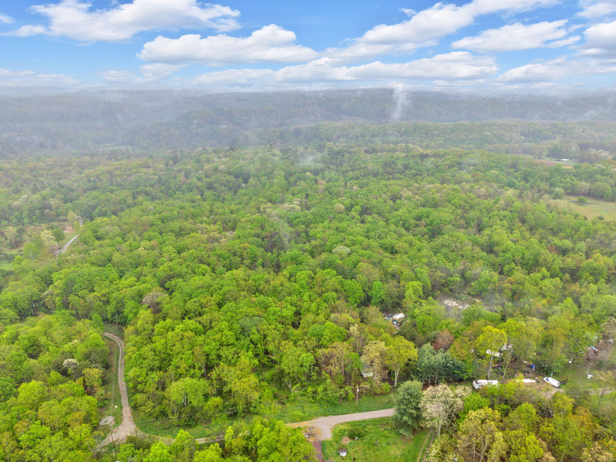 Raenne Drive, Spring City, Tennessee image 16
