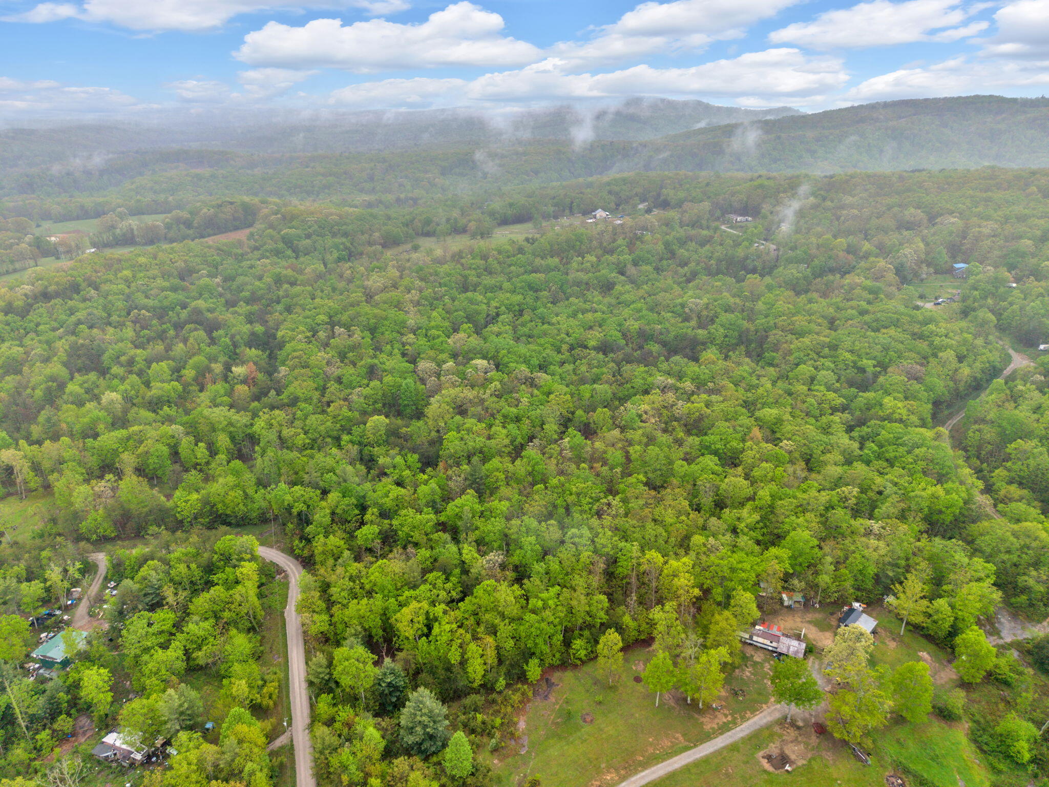 Raenne Drive, Spring City, Tennessee image 10