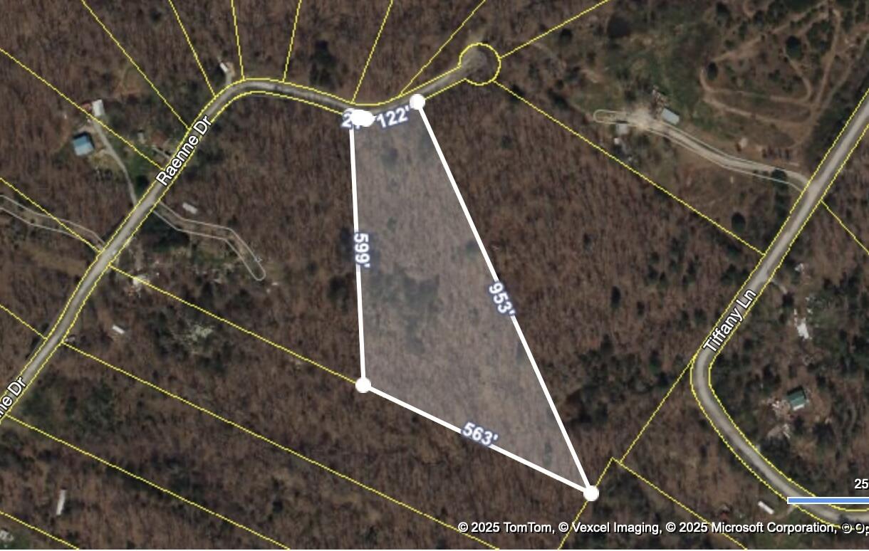 Raenne Drive, Spring City, Tennessee image 22
