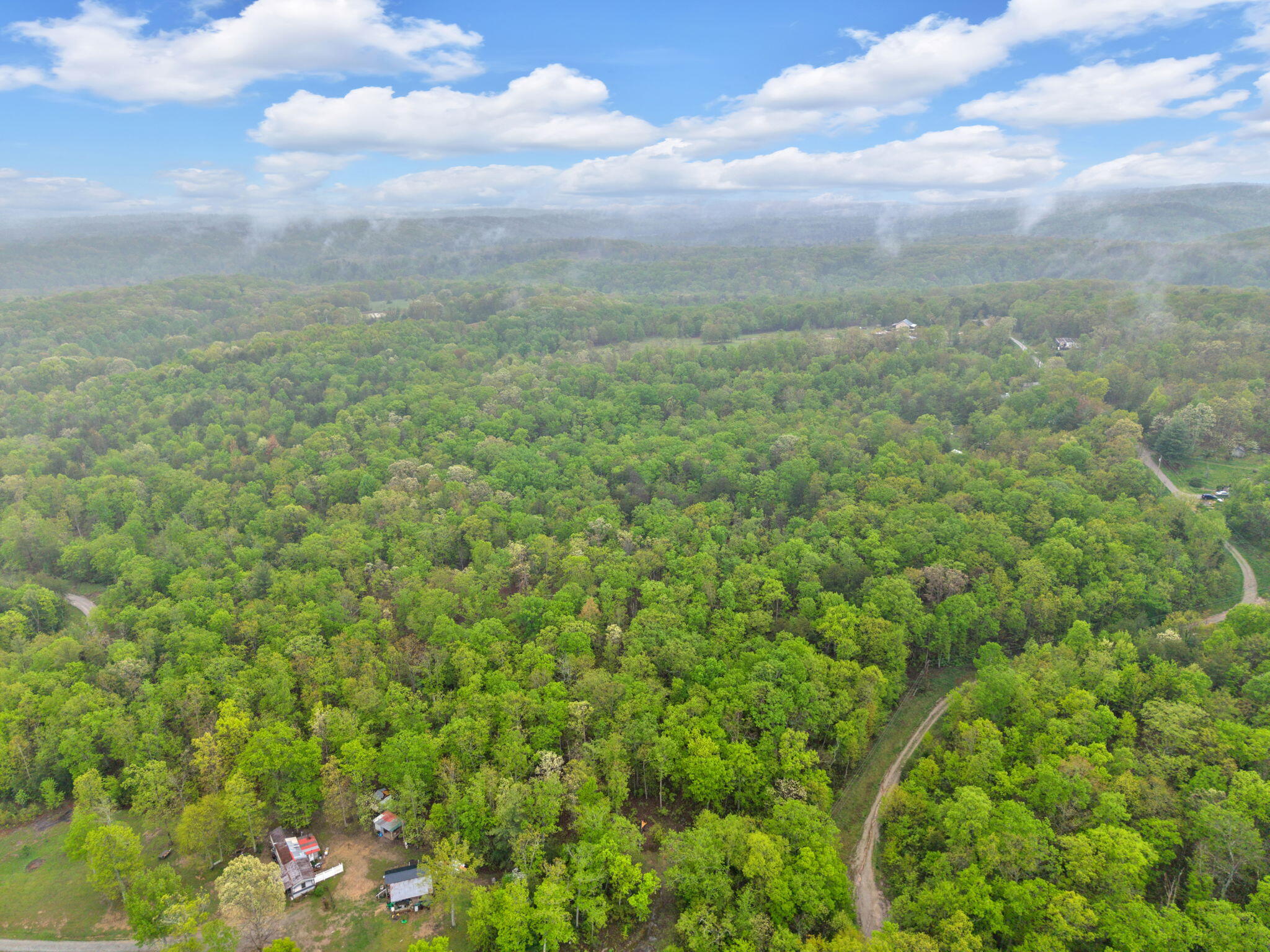 Raenne Drive, Spring City, Tennessee image 13