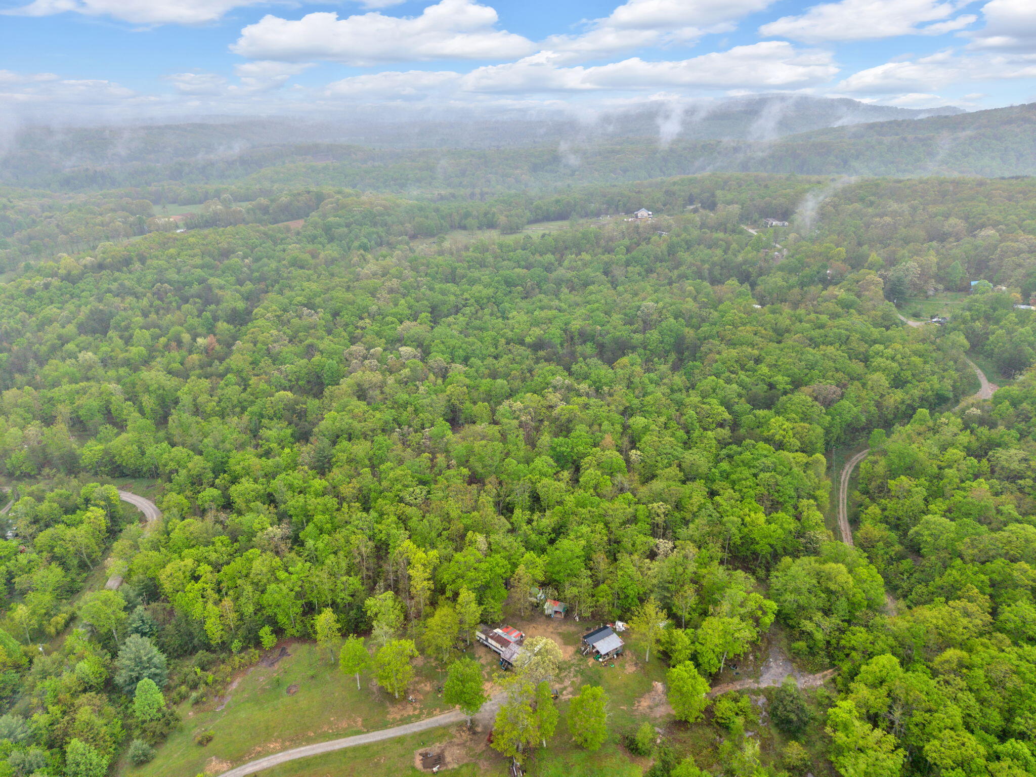 Raenne Drive, Spring City, Tennessee image 8