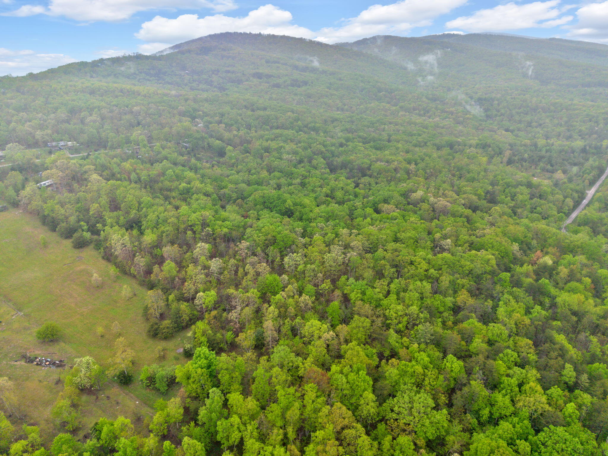 Raenne Drive, Spring City, Tennessee image 1