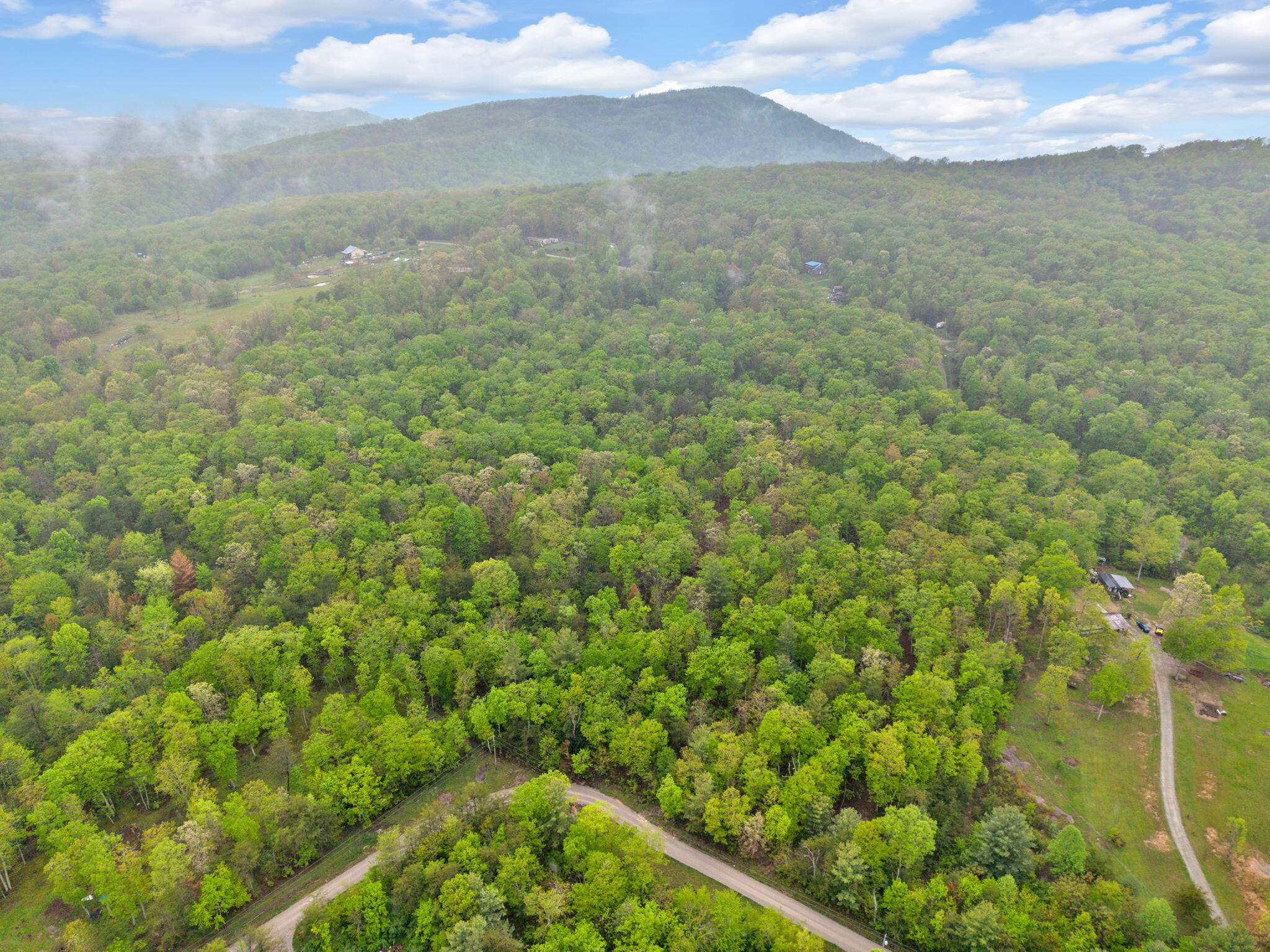 Raenne Drive, Spring City, Tennessee image 6