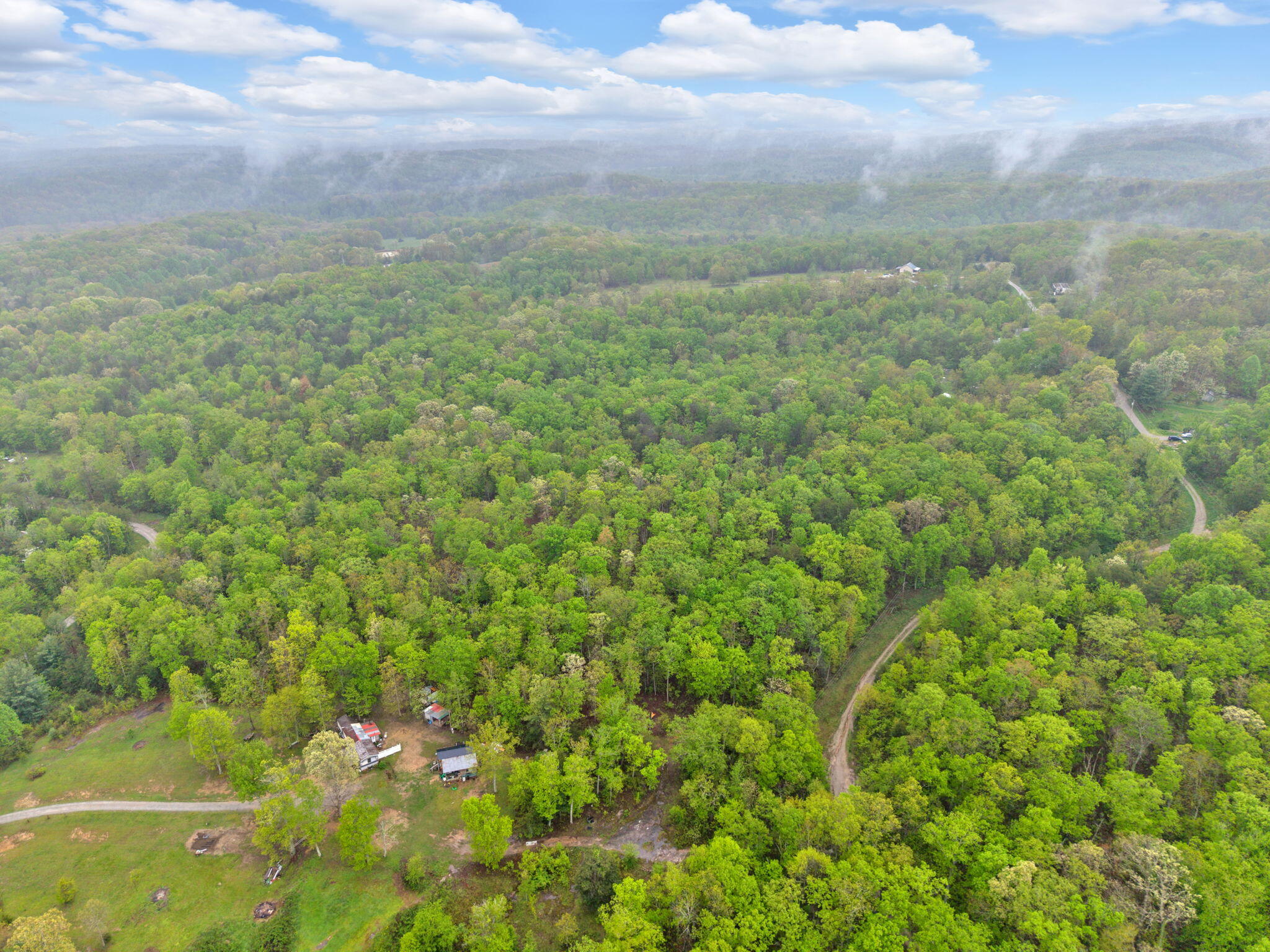 Raenne Drive, Spring City, Tennessee image 11
