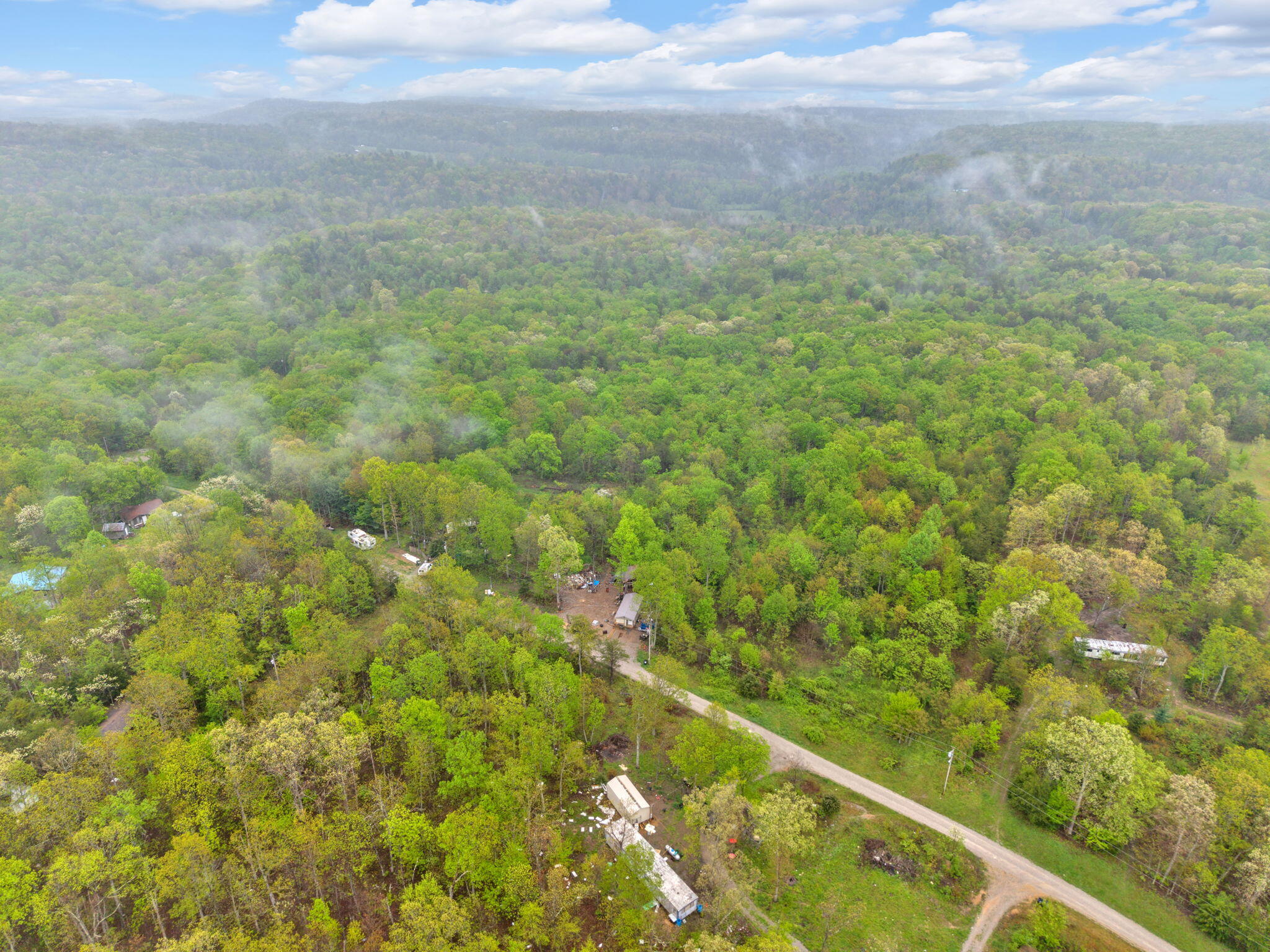 Raenne Drive, Spring City, Tennessee image 17