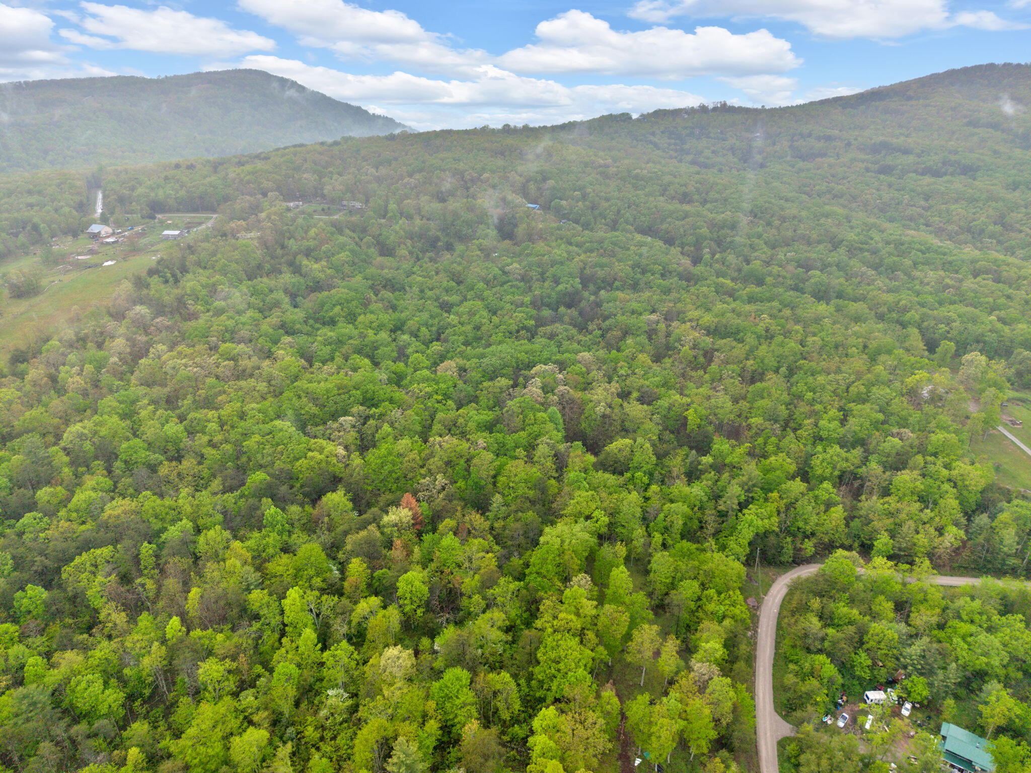 Raenne Drive, Spring City, Tennessee image 5
