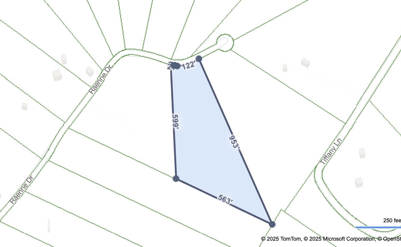 Raenne Drive, Spring City, Tennessee image 21