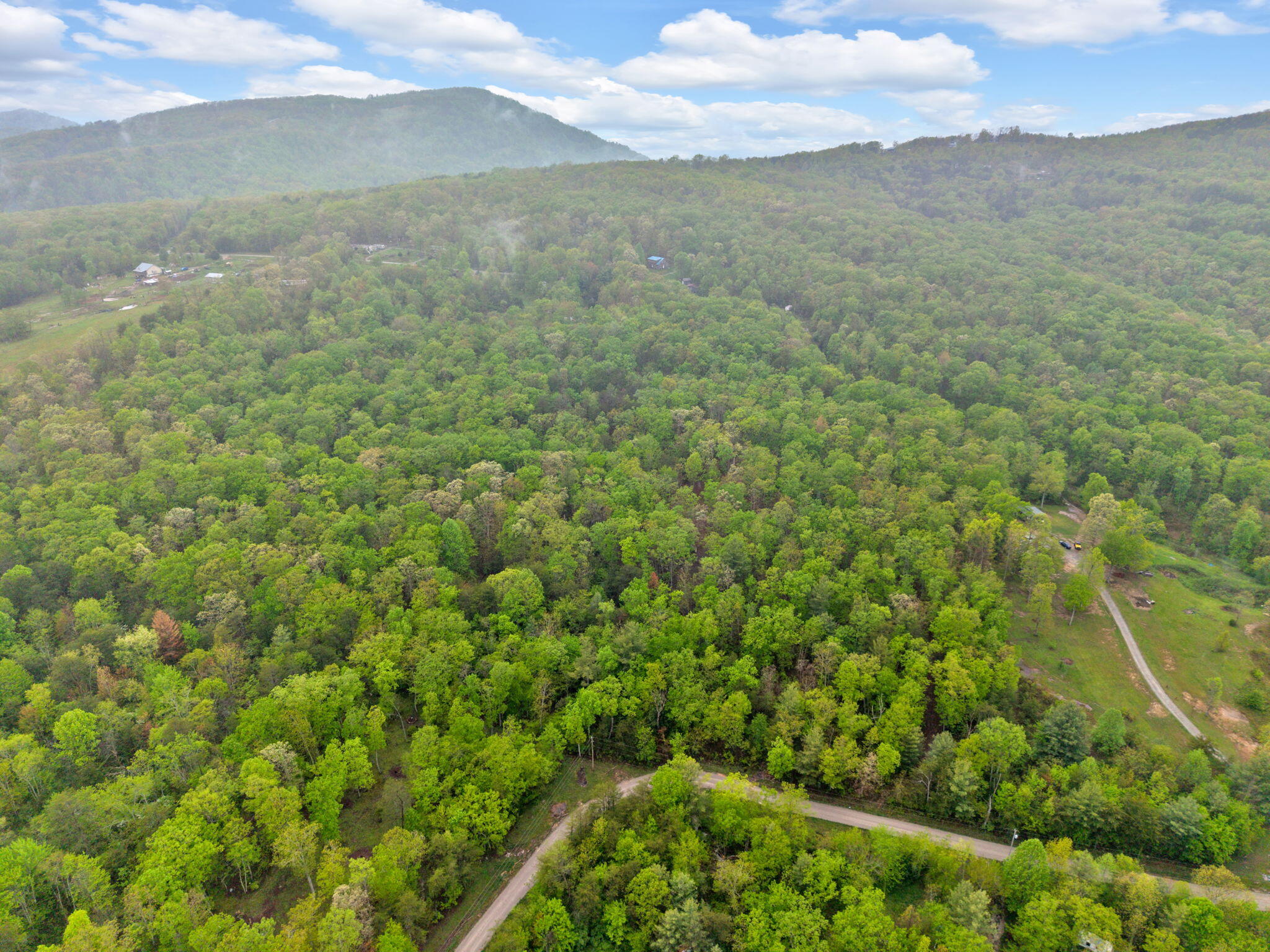 Raenne Drive, Spring City, Tennessee image 9