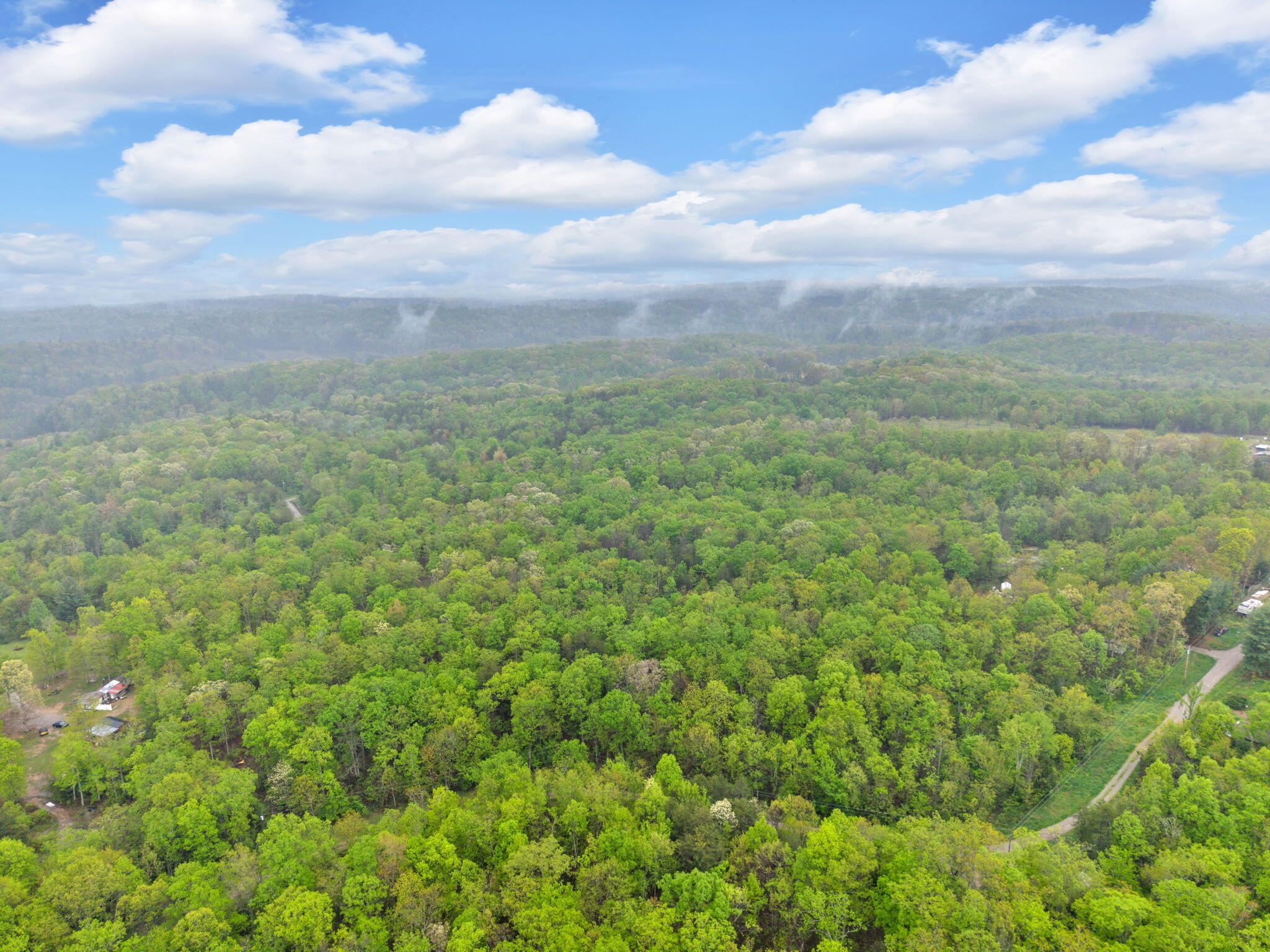 Raenne Drive, Spring City, Tennessee image 14