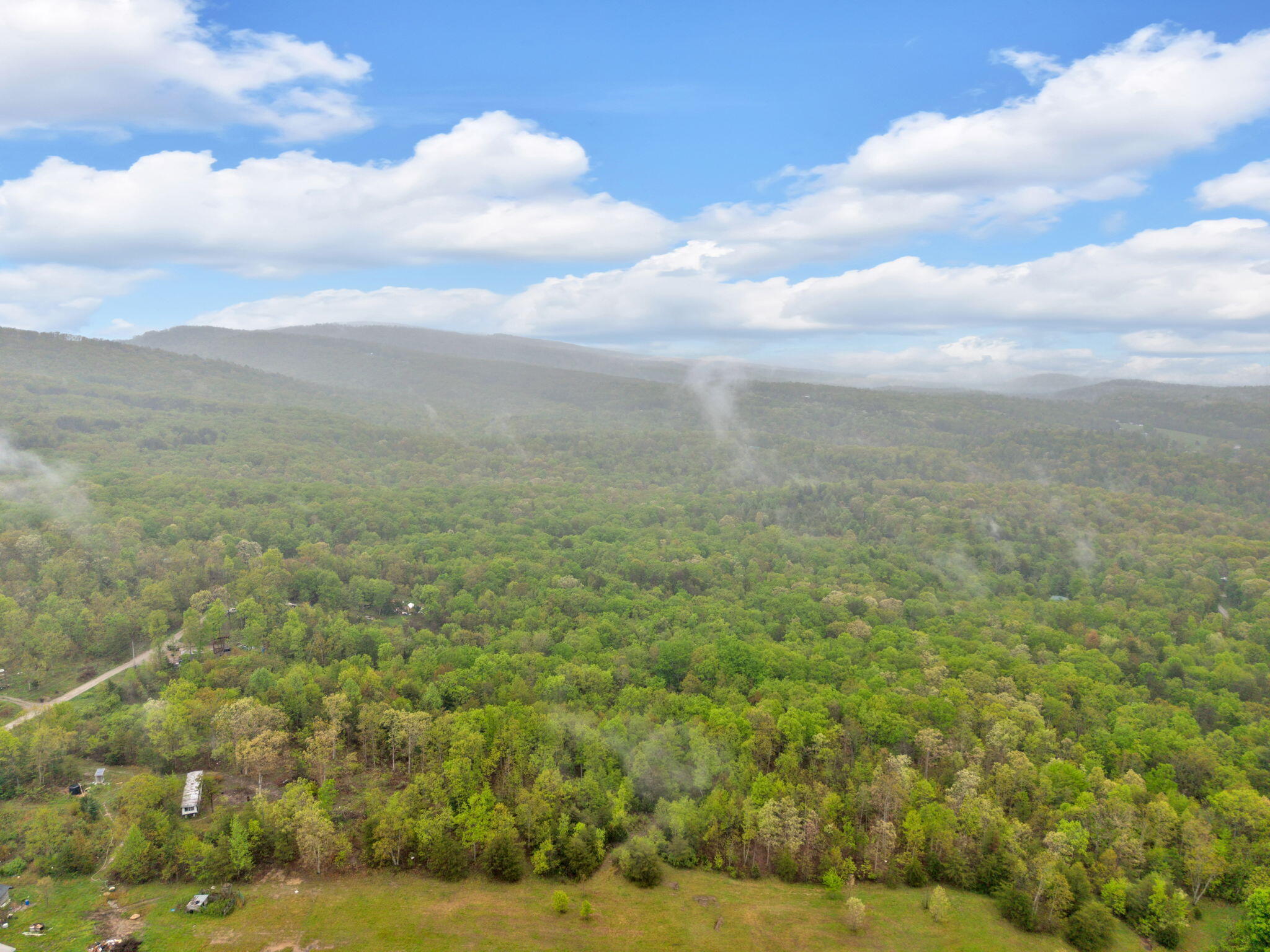 Raenne Drive, Spring City, Tennessee image 18