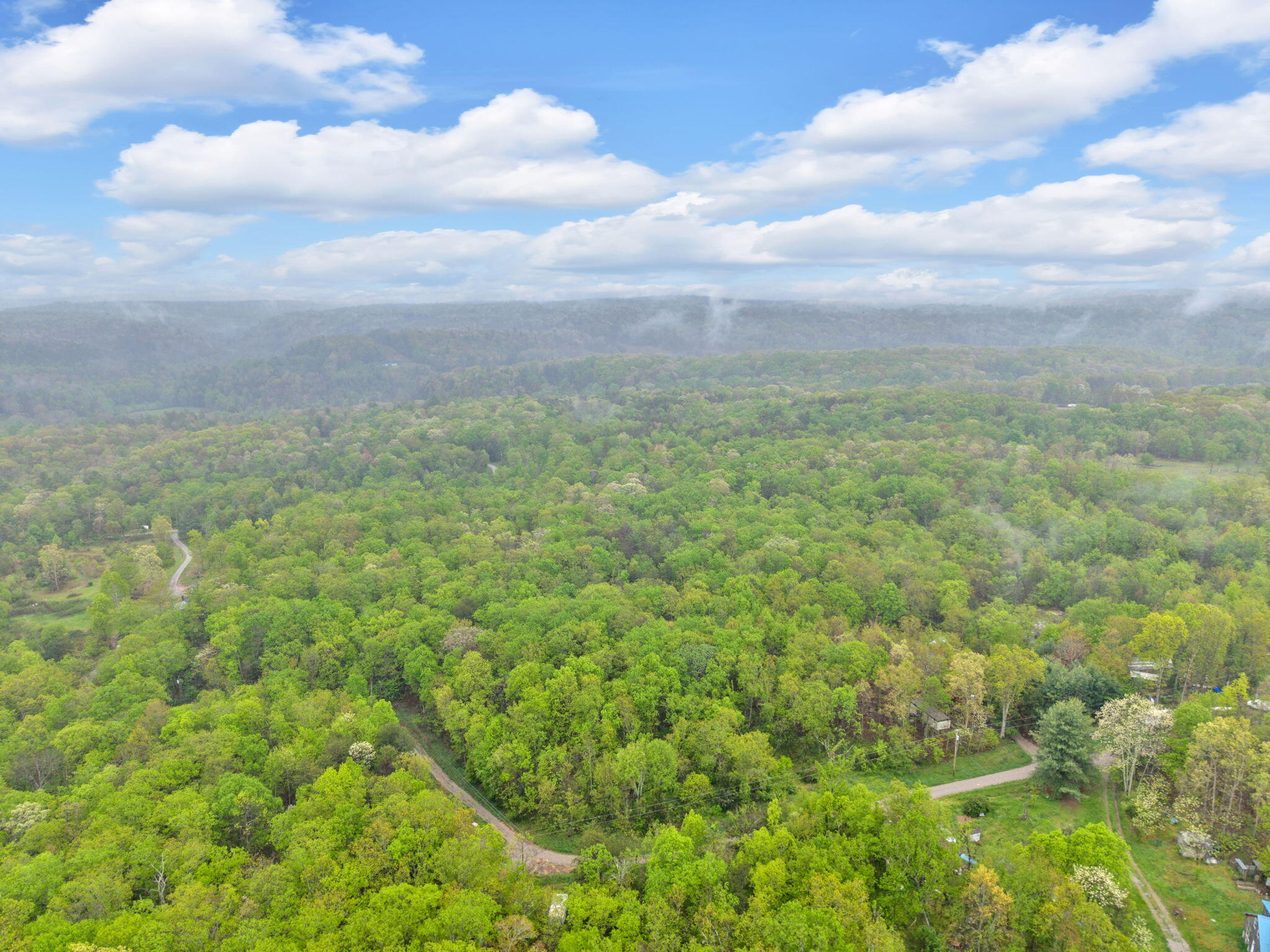 Raenne Drive, Spring City, Tennessee image 15