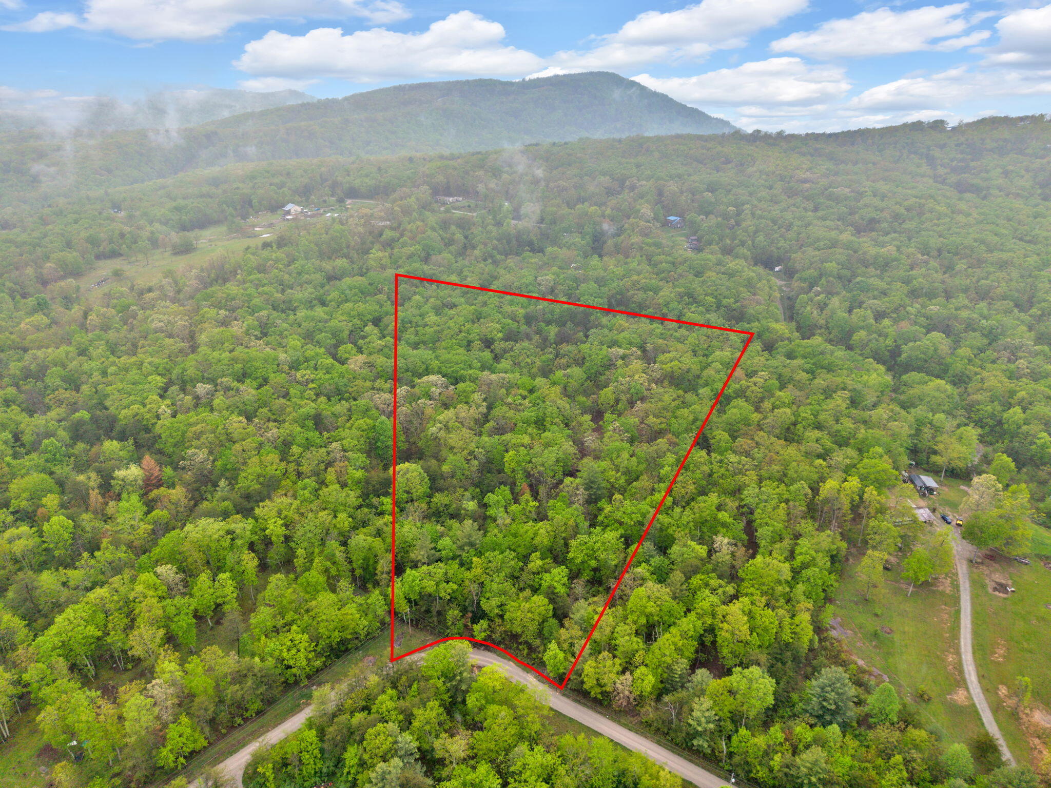 Raenne Drive, Spring City, Tennessee image 2
