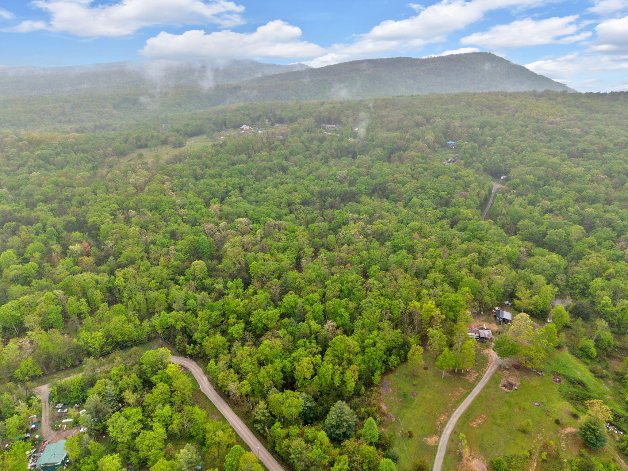 Raenne Drive, Spring City, Tennessee image 7