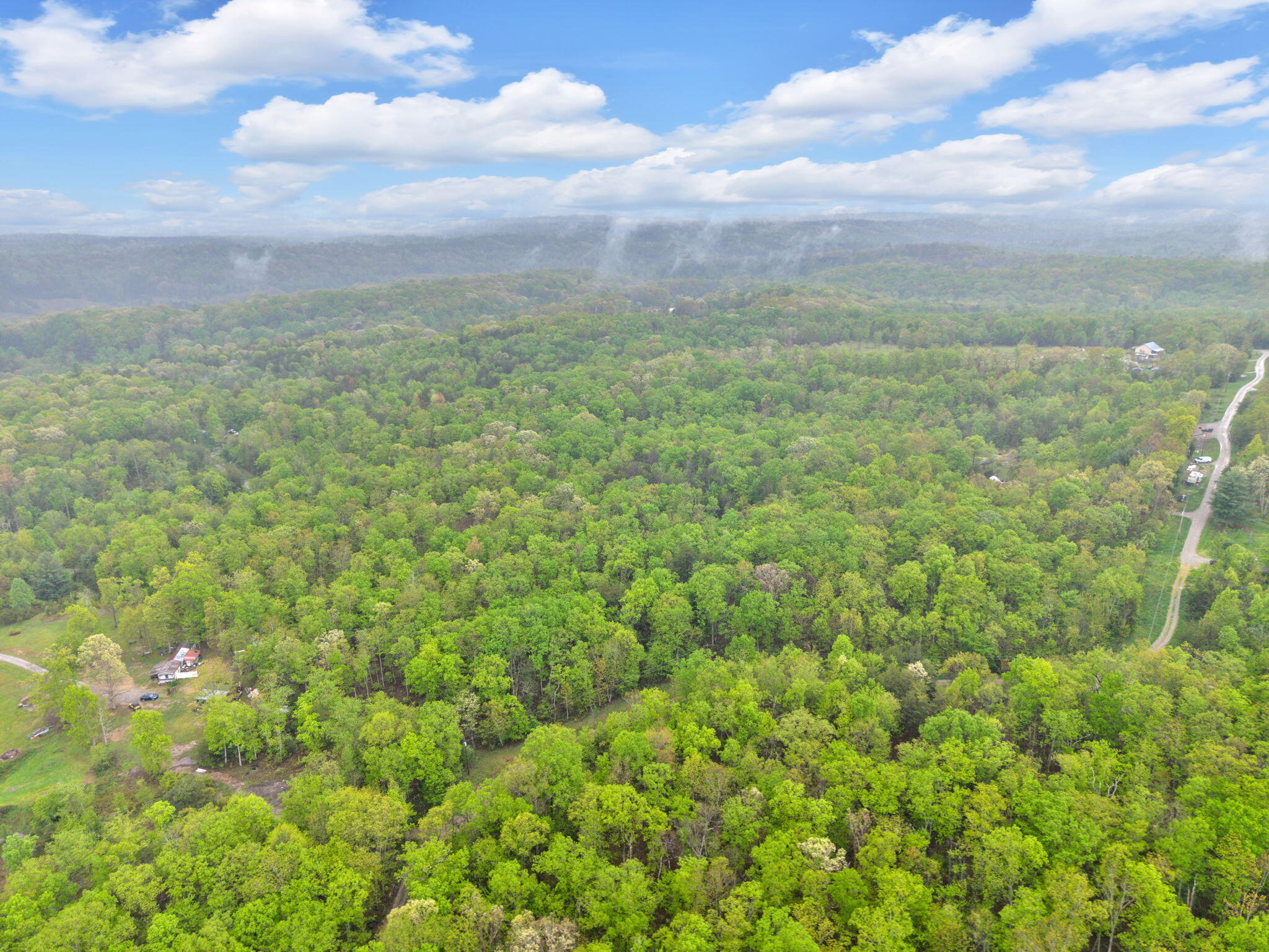 Raenne Drive, Spring City, Tennessee image 12