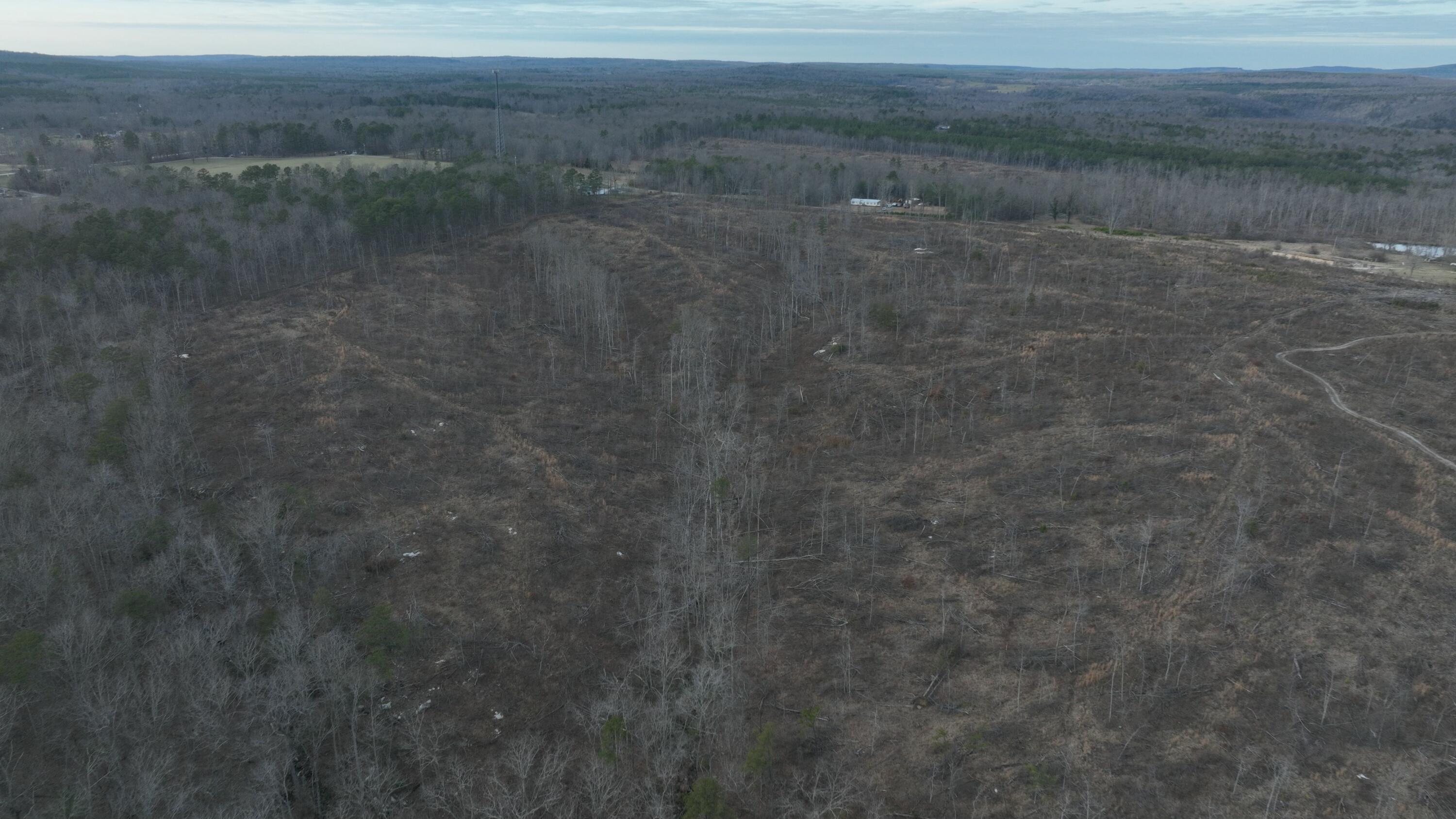 Lickpoint Road, Sequatchie, Tennessee image 3